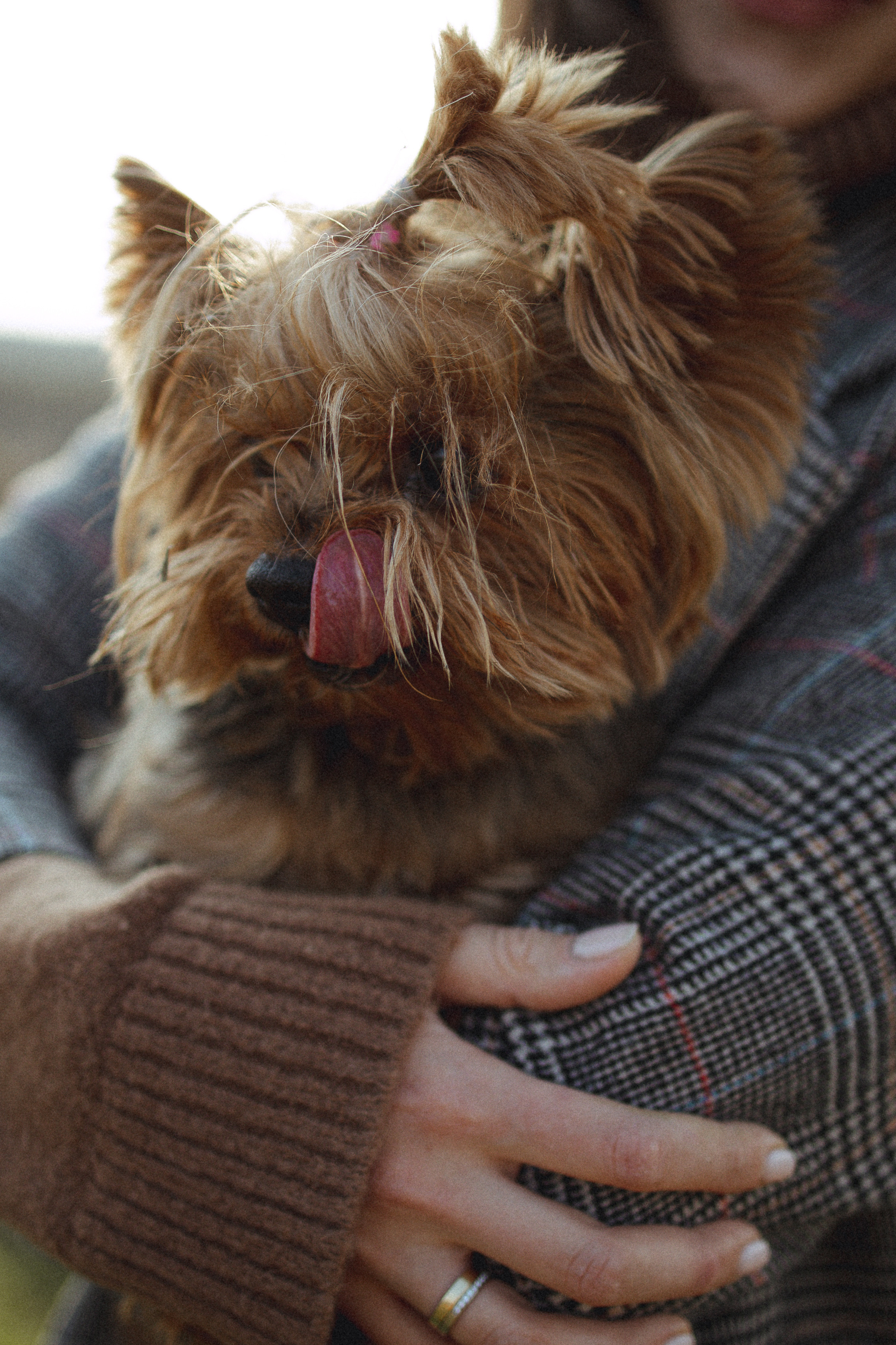 Family. Alesya Gee Photographer Uzbekistan