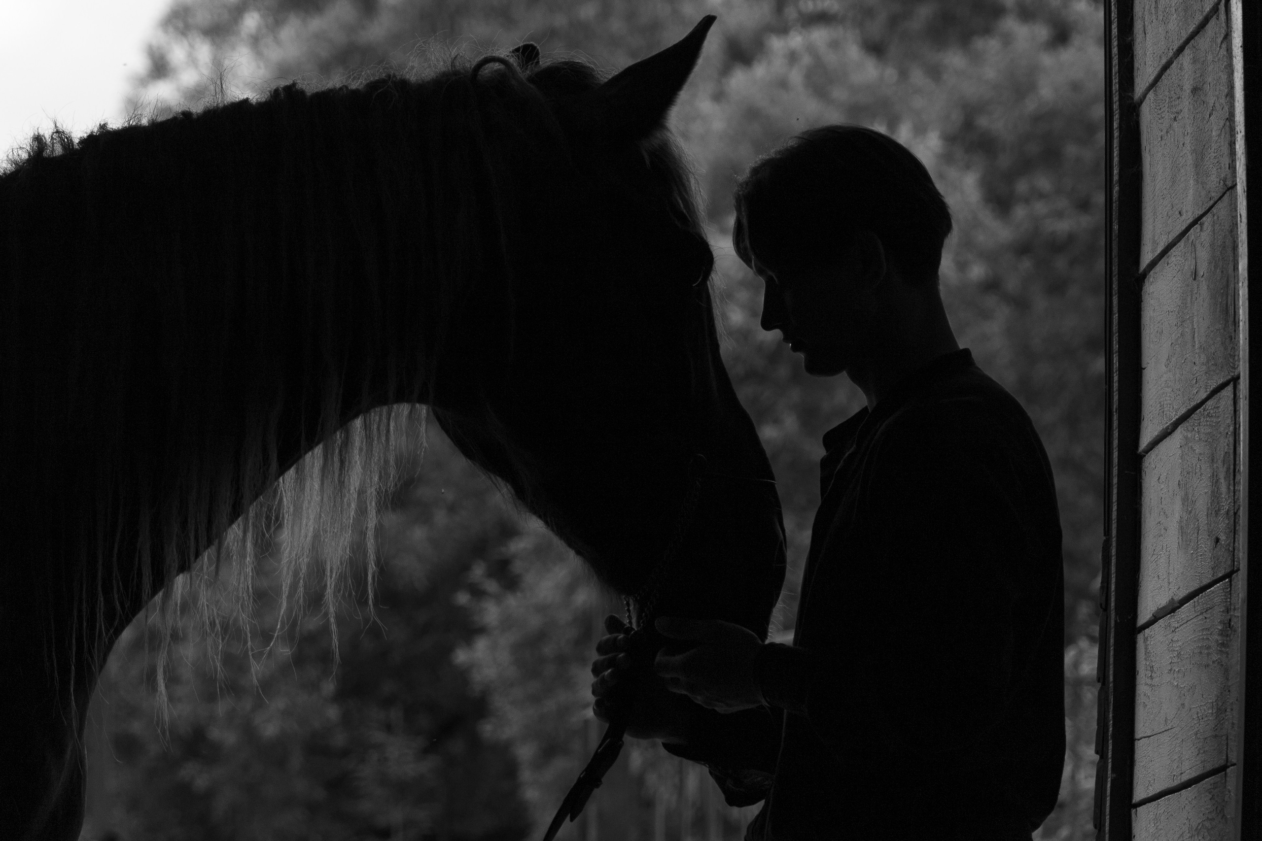 Съёмки с животными. Фотограф в Москве. София Казьмина