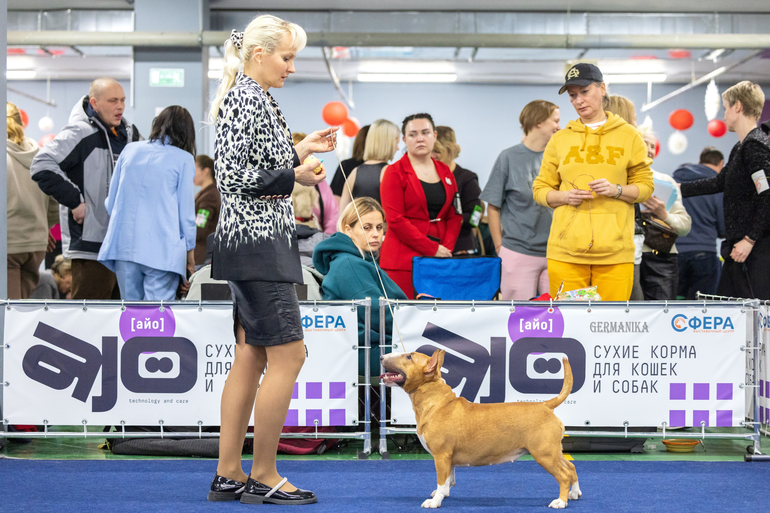 Сфера 28.01. и 4.02.2024. Фотограф-анималист Юлия Германика