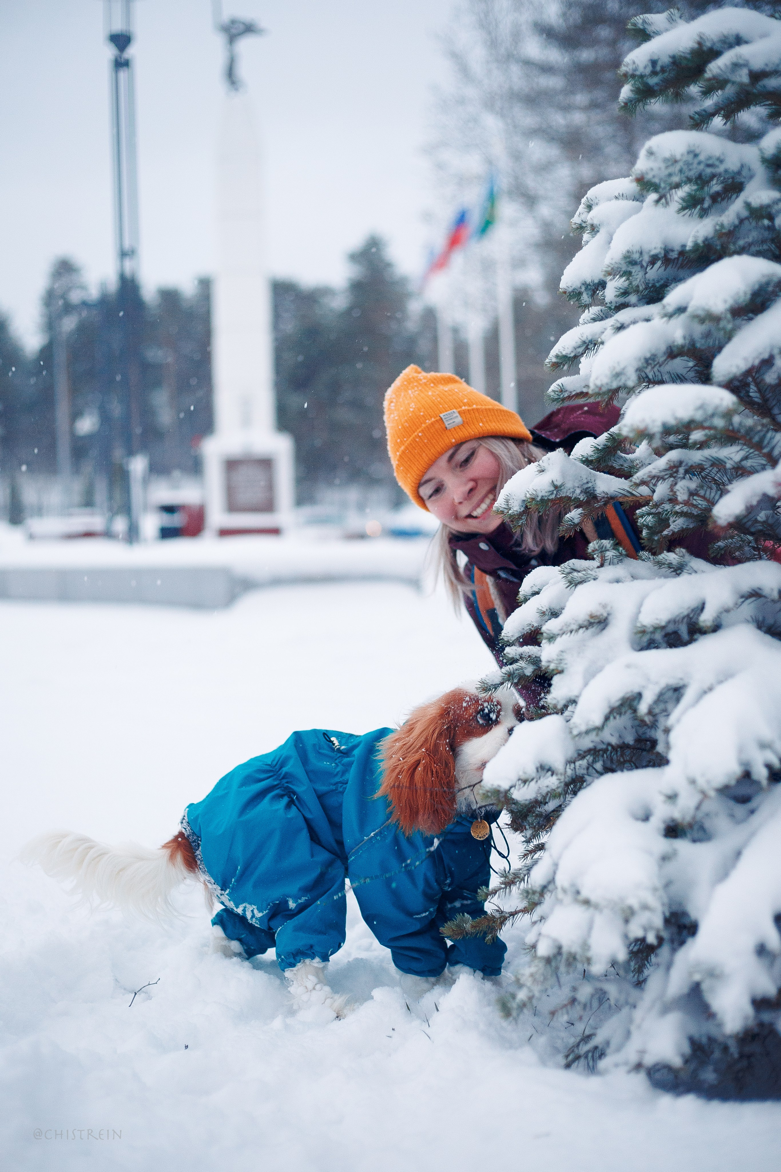 Внезапно апрельская зима. Фотограф-анималист Наталия Чистюхина в г. Сосновый Бор и ЛО