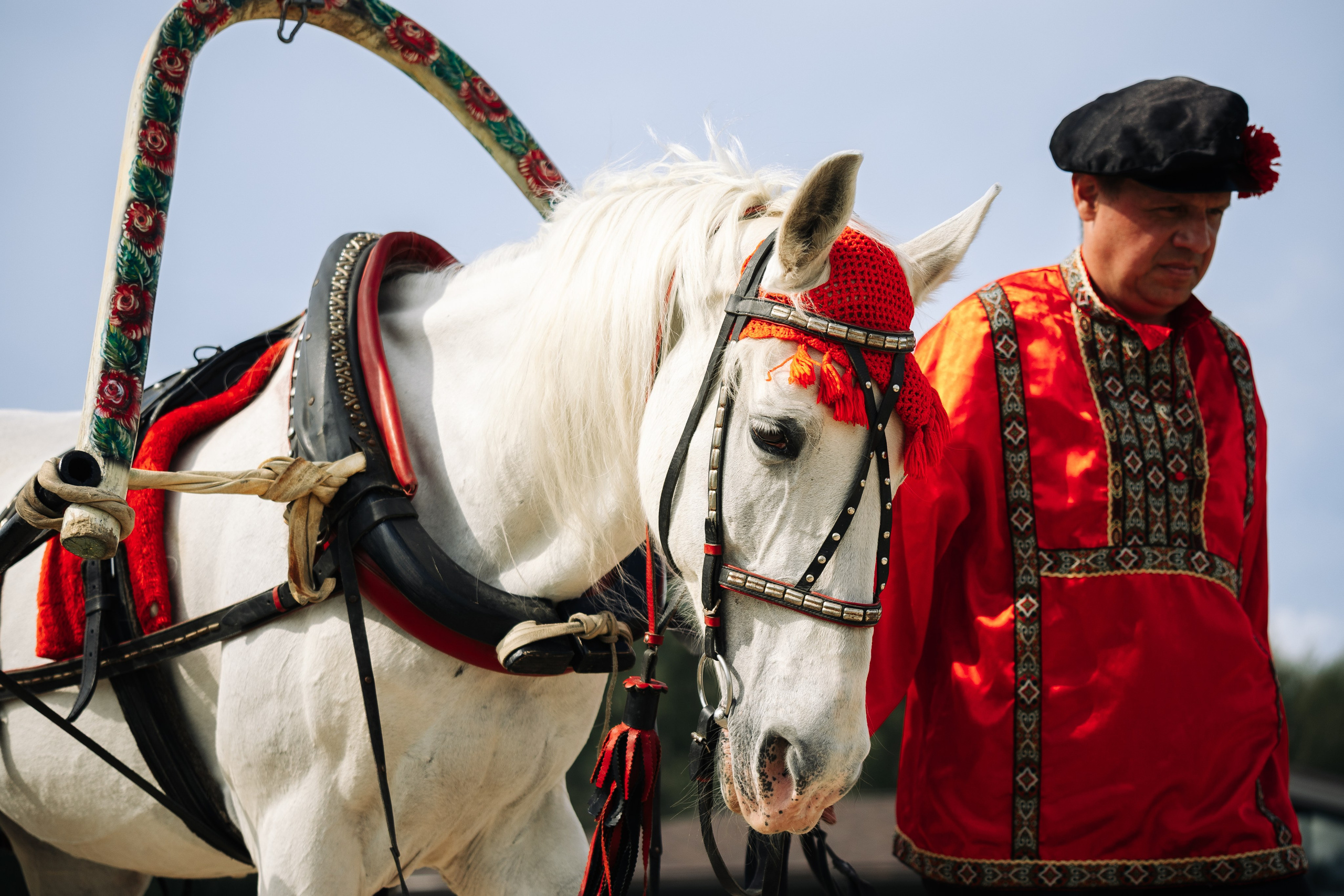 Уличные мероприятия. GRISHAFOMIN Фотограф