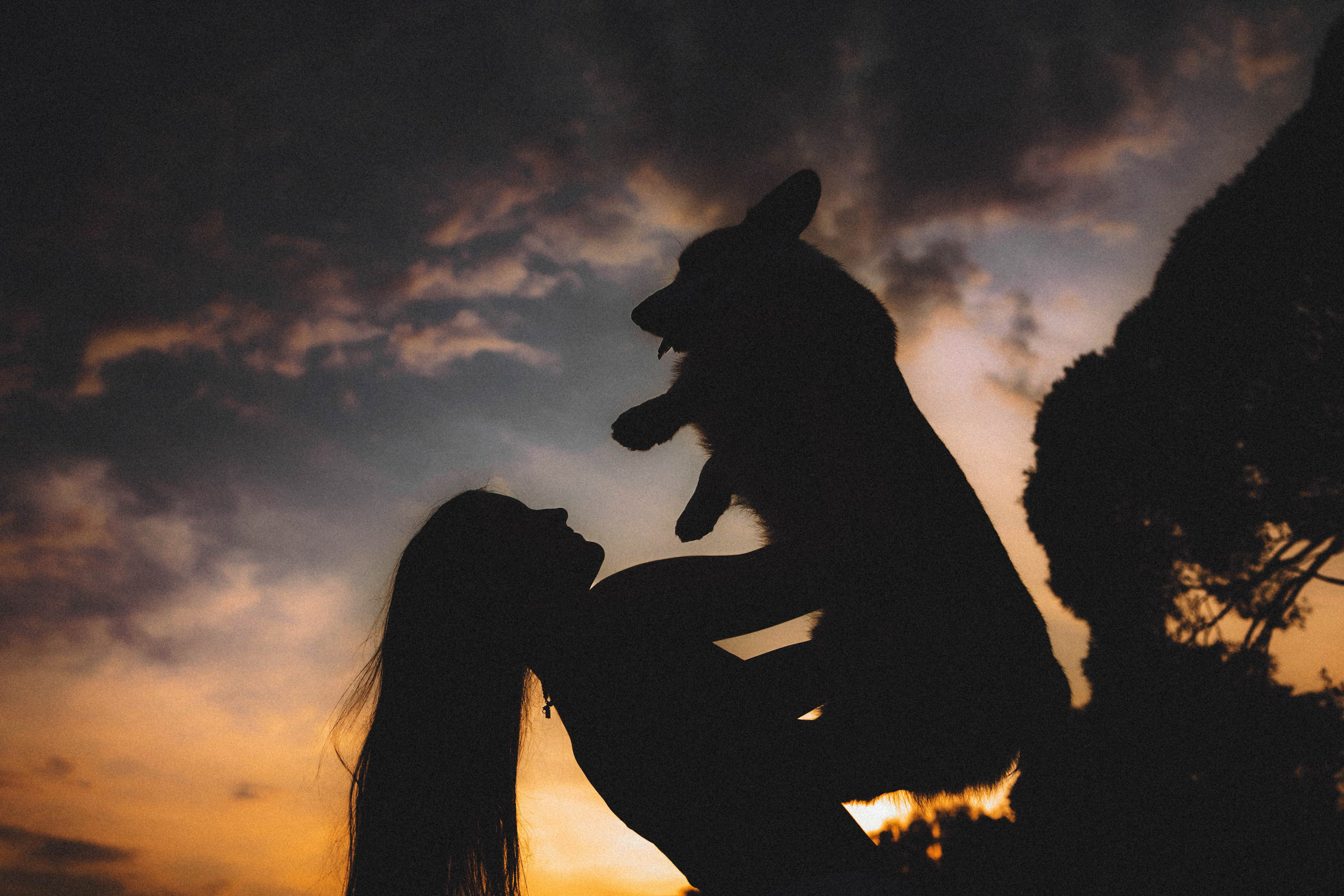 Арчи и его семья