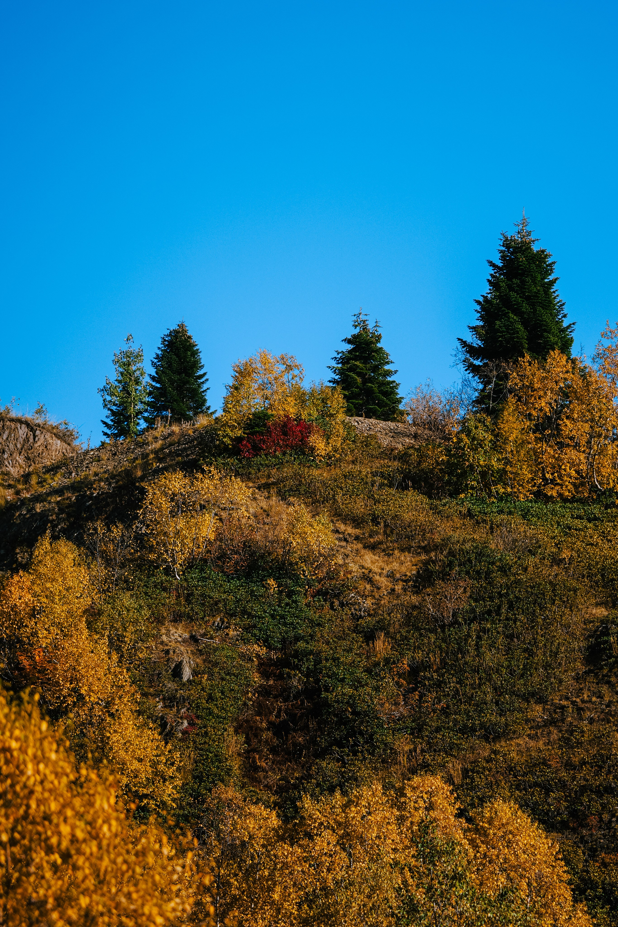 Роза Пик, тропа Турья ✽ Октябрь. Репортажный фотограф | Роза Хутор Красная Поляна Сочи Сириус