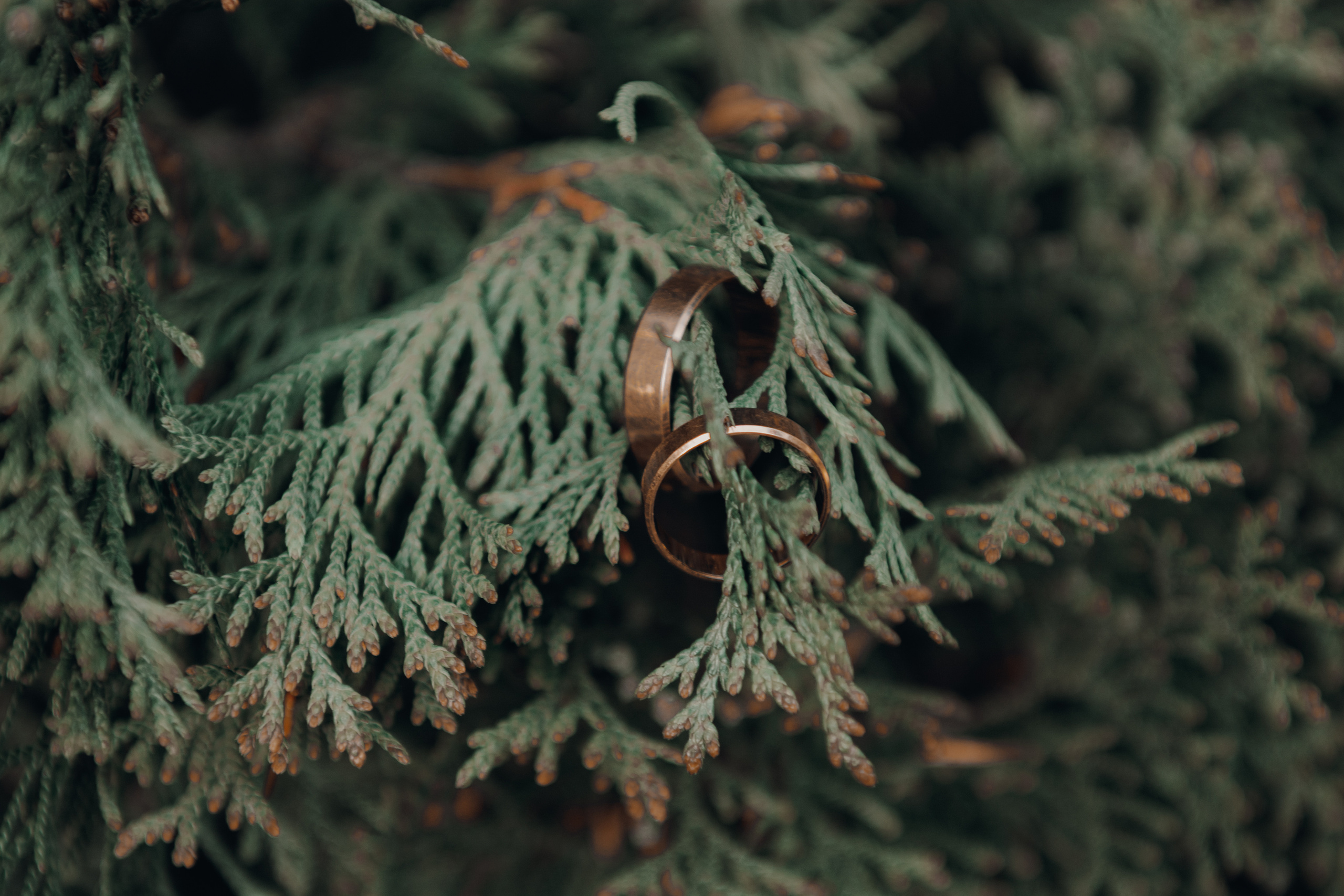 Свадебные съемки. Фотограф Таинства Крещения в Москве и Ростове-на- Дону Елена Шенк