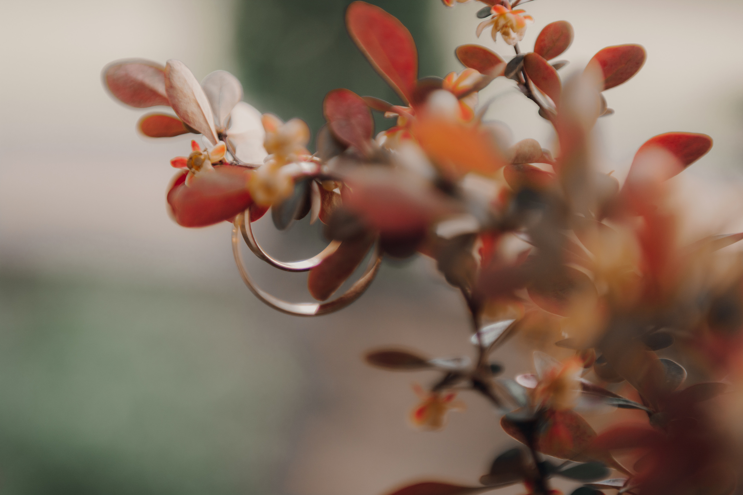 Свадебные съемки. Фотограф Таинства Крещения в Москве и Ростове-на- Дону Елена Шенк