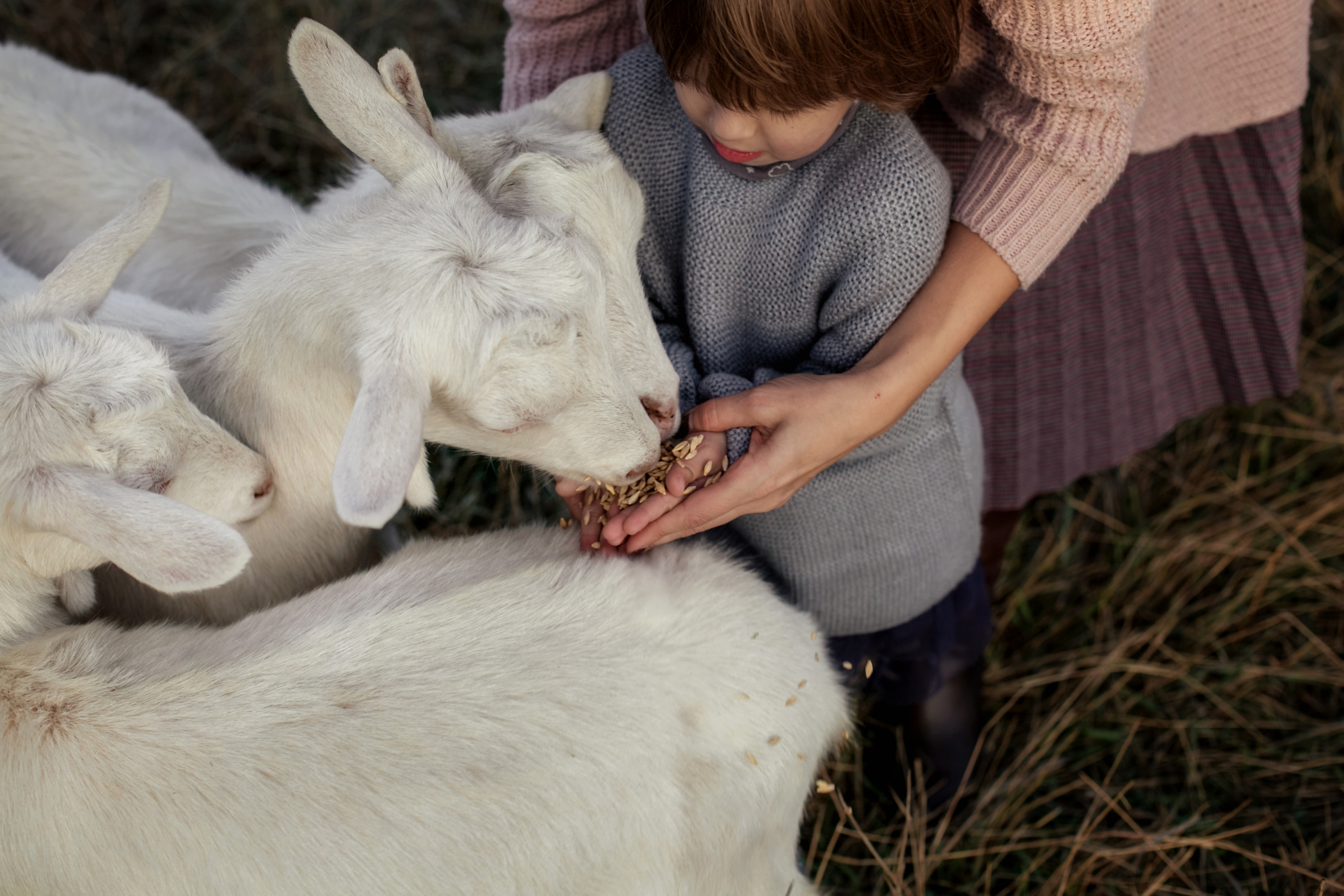 Фотограф Таинства Крещения в Москве и Ростове-на- Дону Елена Шенк