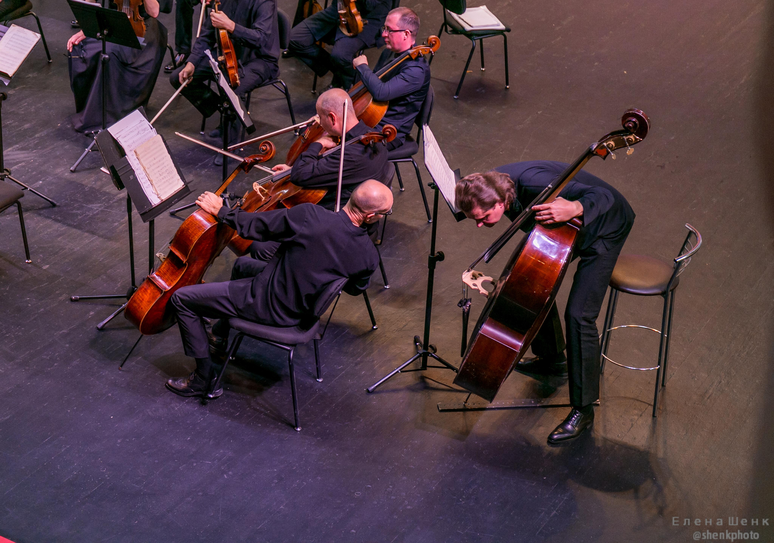 Михаил Пореченков. Филармония. Стихи Маяковского. Фотограф Таинства Крещения в Москве и Ростове-на- Дону Елена Шенк