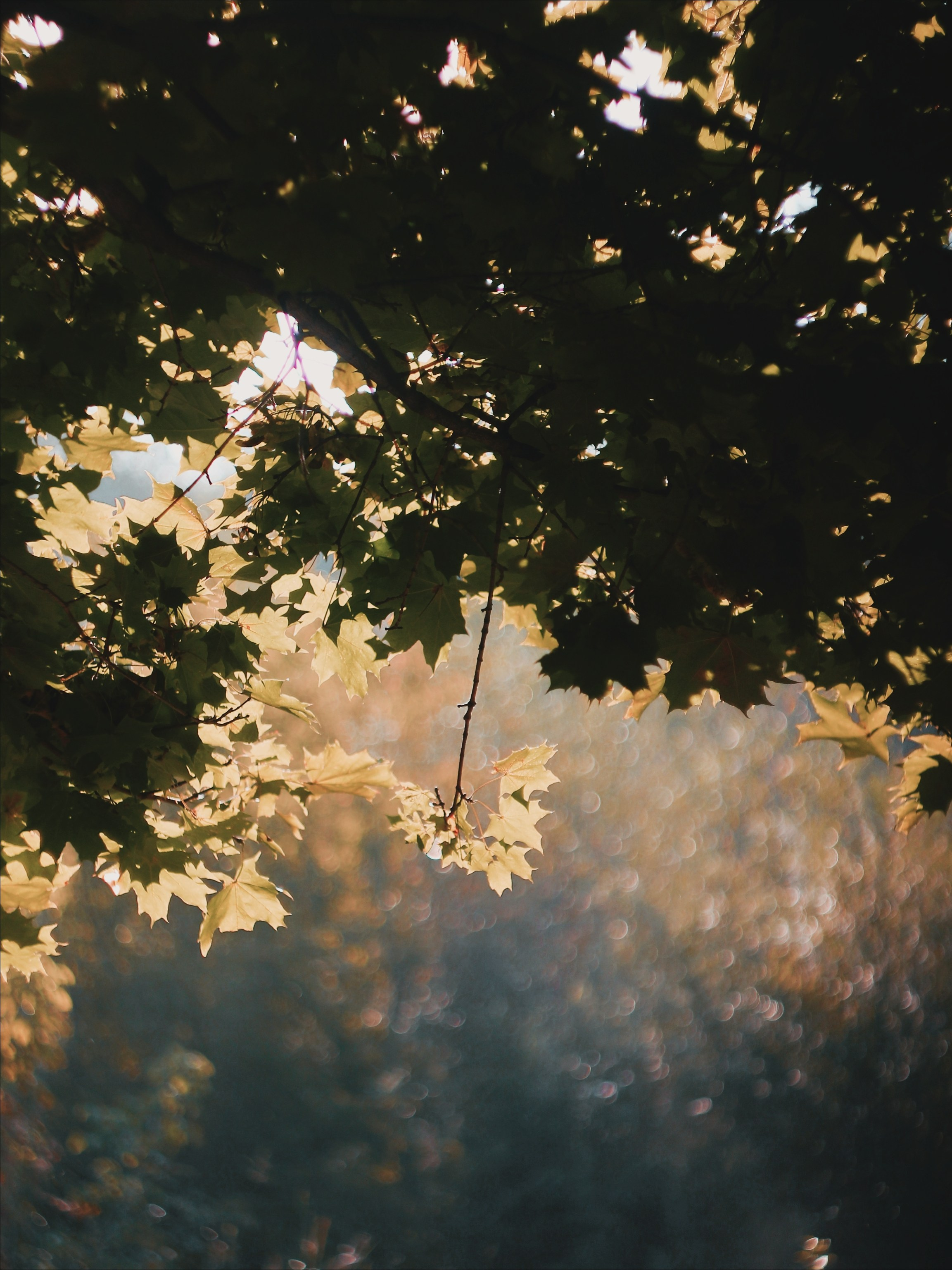 Эфемерность моментов. С любовью, фотохудожник