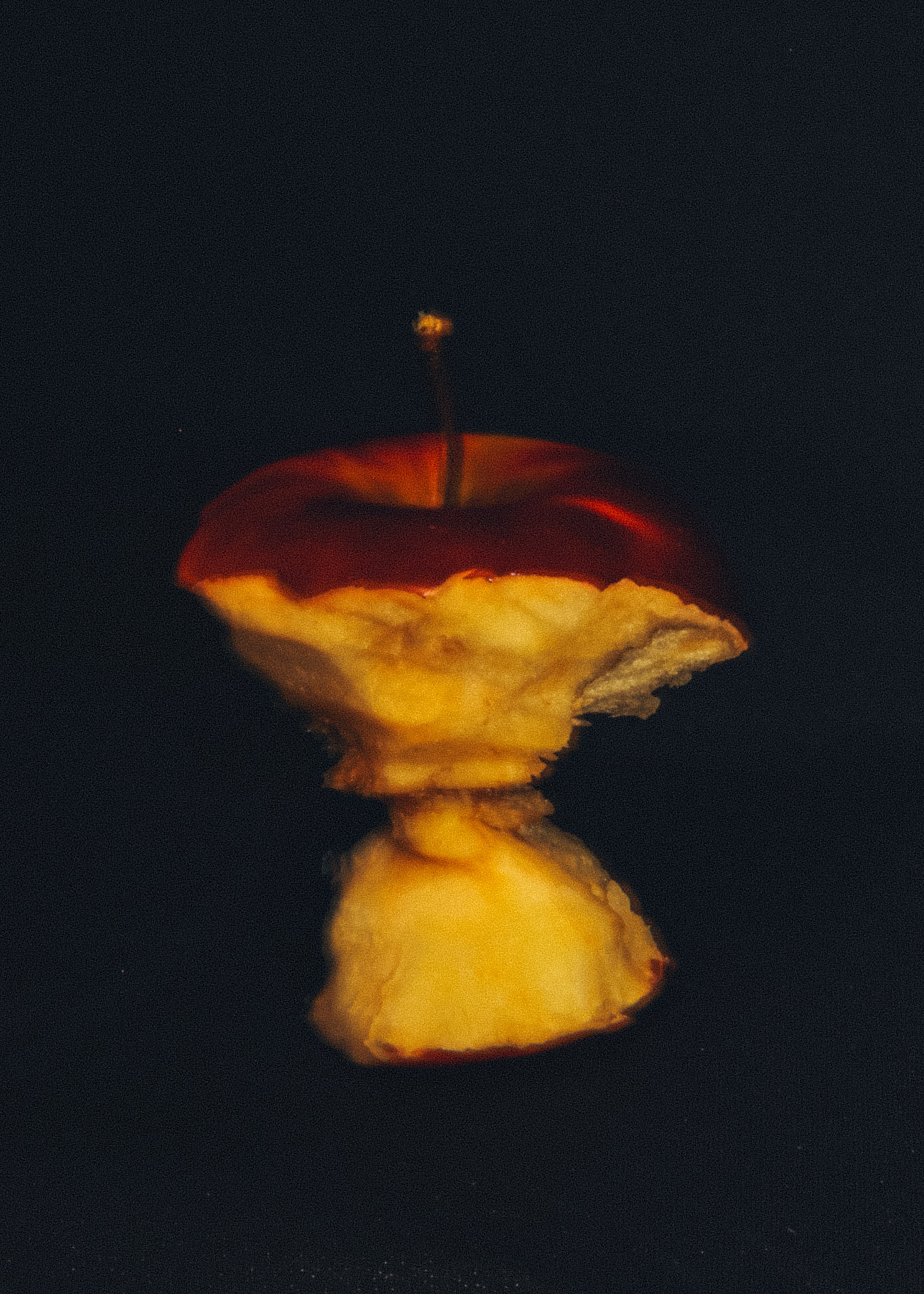 Природа &. Фотохудожник в СПб