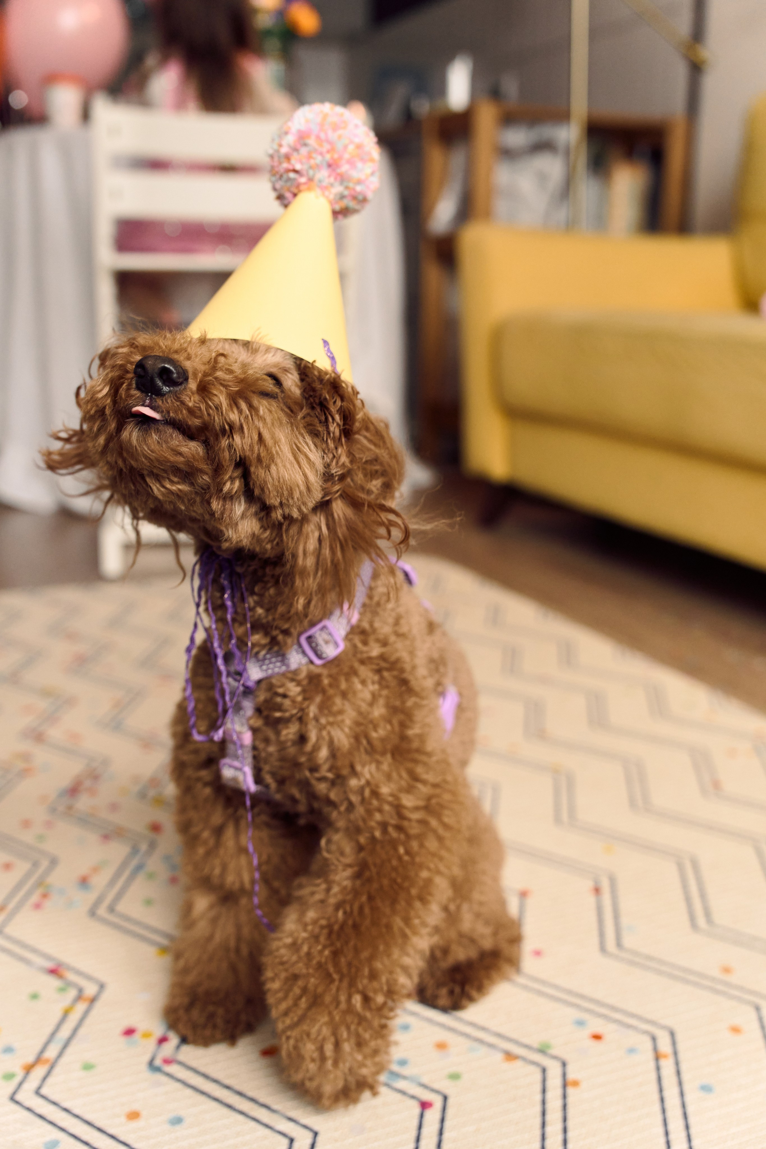 Ульяше 4 года!. Фотограф Москва и Екатеринбург. Максимова Соня