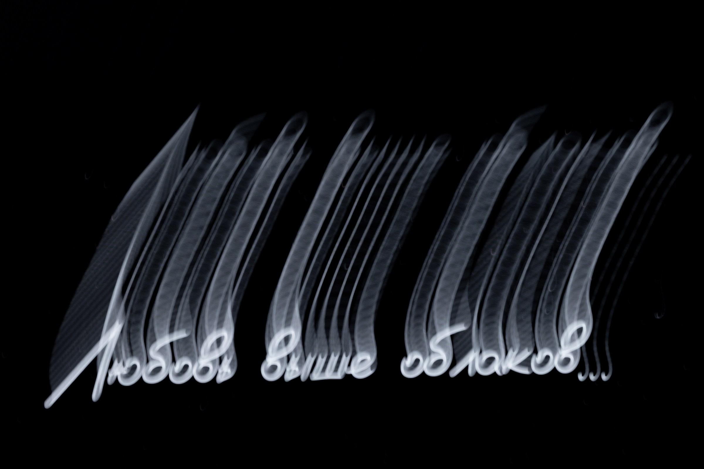 Свадьба пес и котики. Dima Lemeshevsky