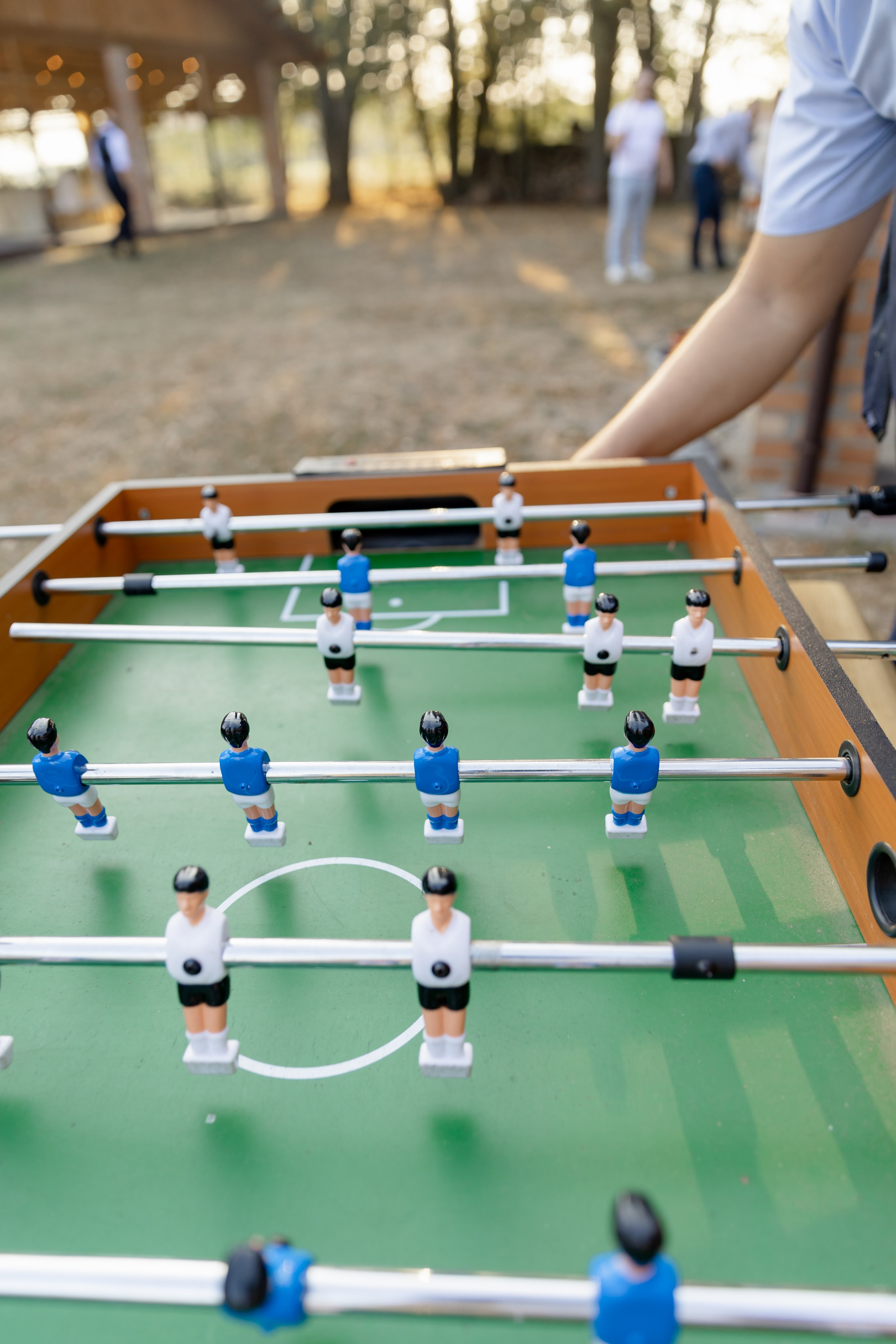 Виноградники. Dima Lemeshevsky