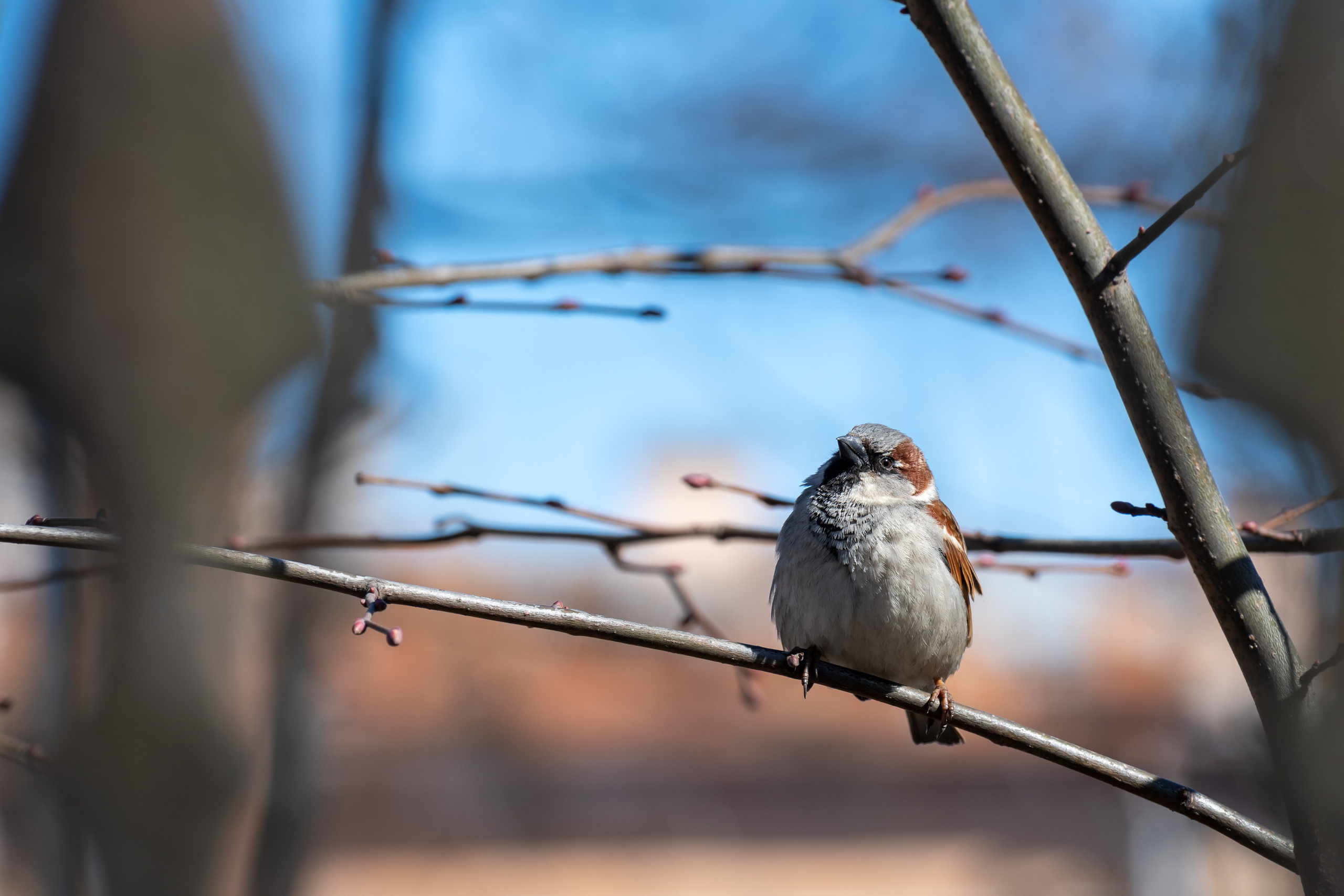 20220411-16 Санкт-Петербург. Дмитрий Ремизов. Фотография, как хобби