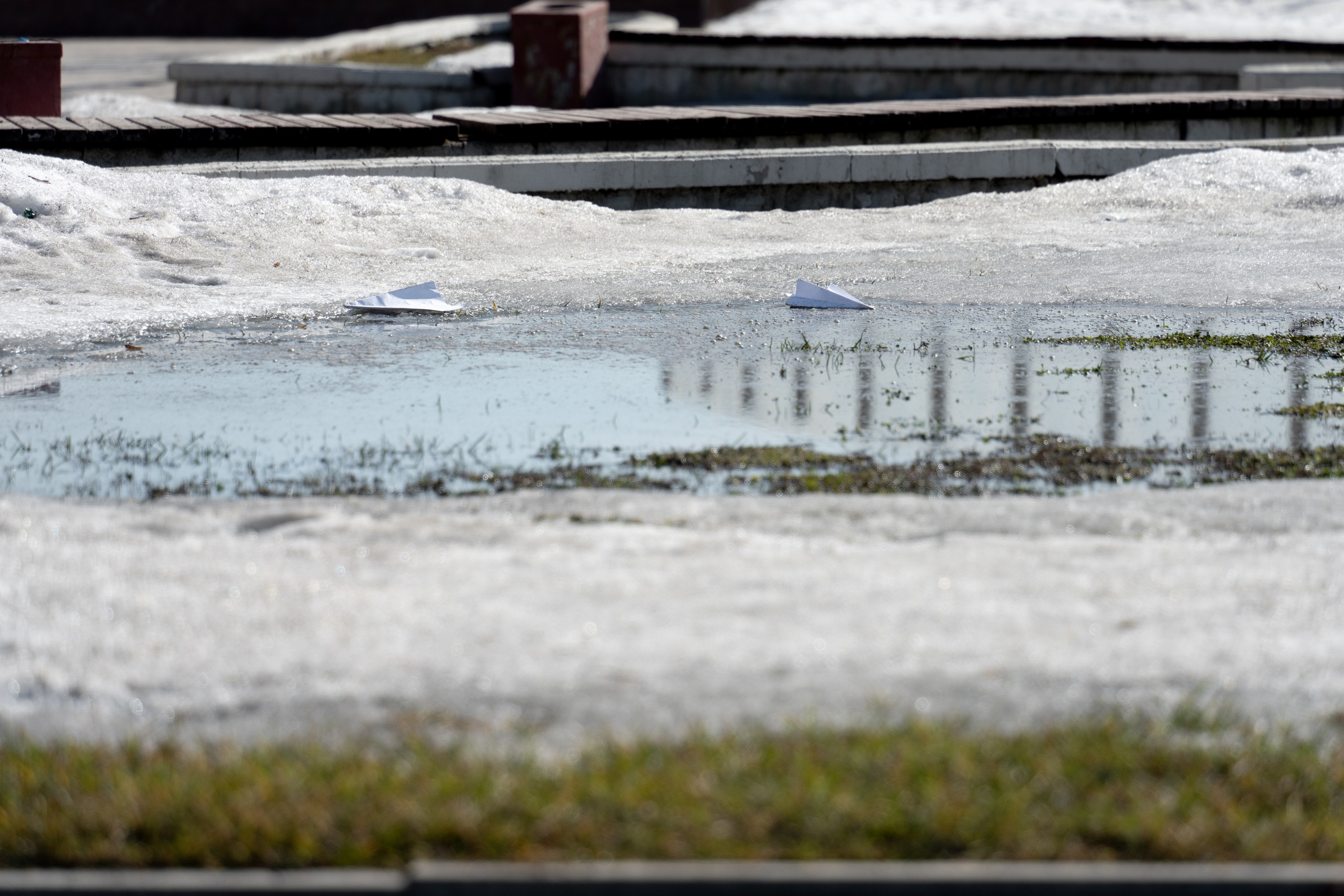20260322 Киевская — Парк Победы. Дмитрий Ремизов. Фотография, как хобби