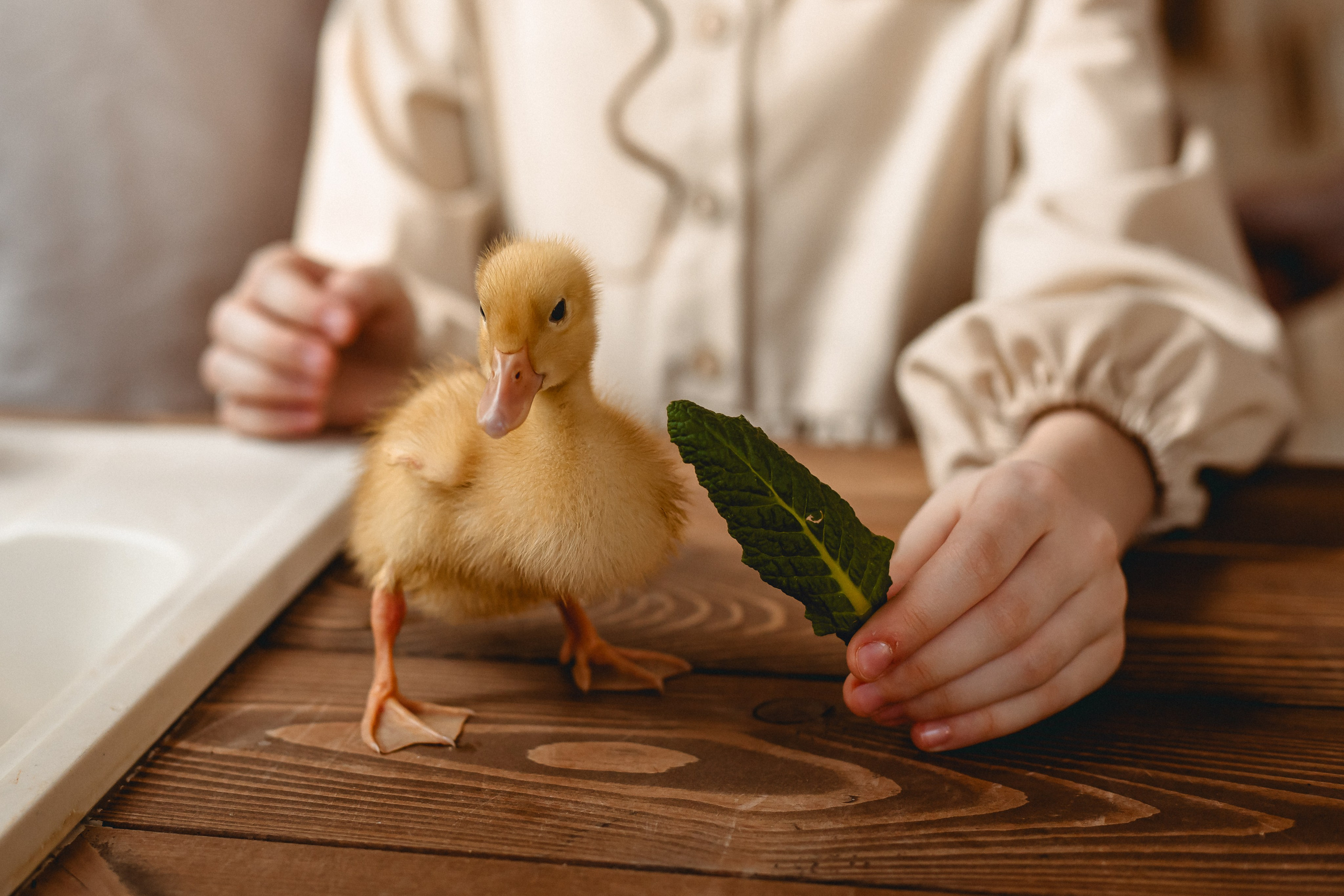 СЕМЕЙНЫЕ. Фотограф крещений, семейный фотограф Приходько Ксения