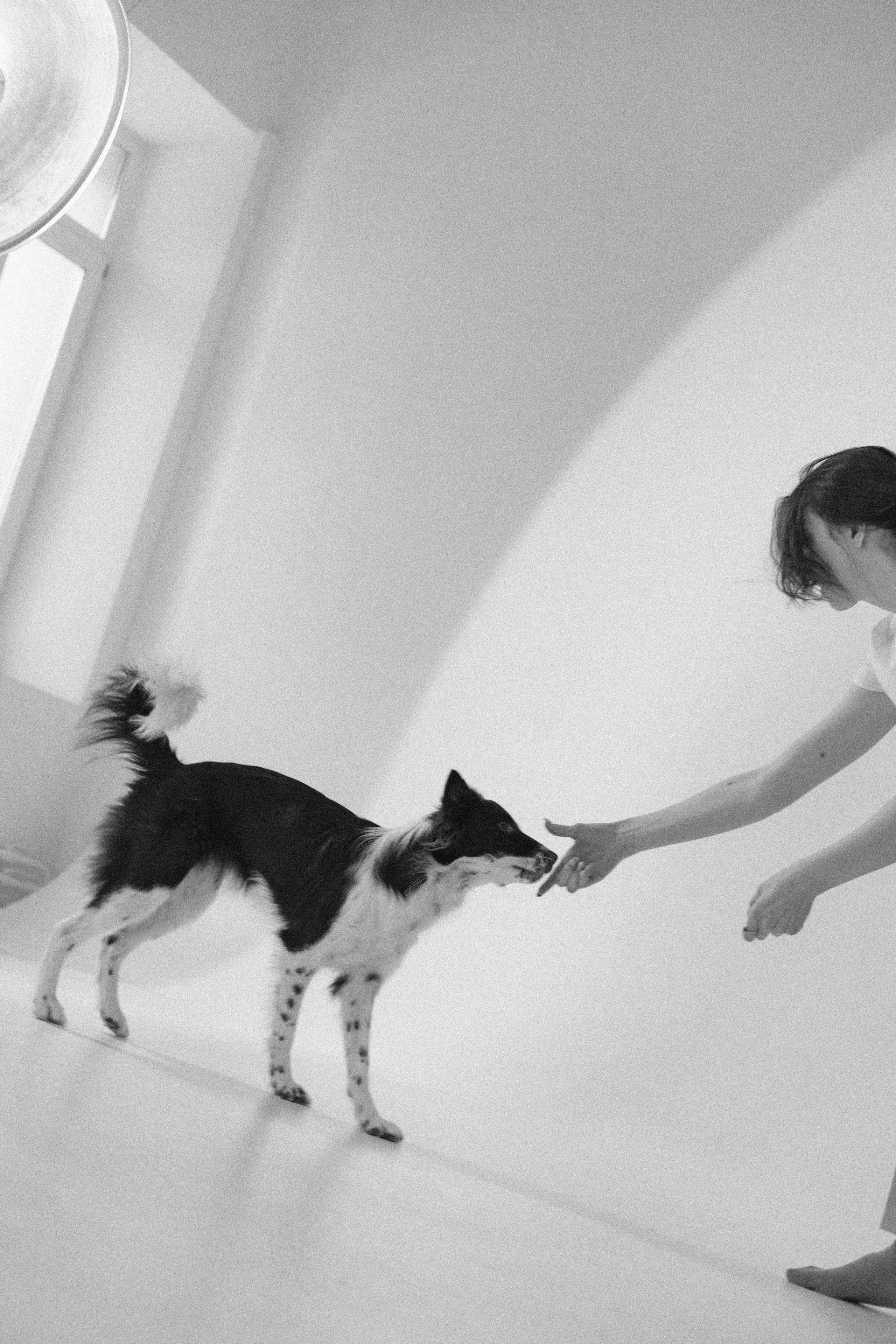 Алена и Гвендолин. Фотограф-анималист Богданова Полина