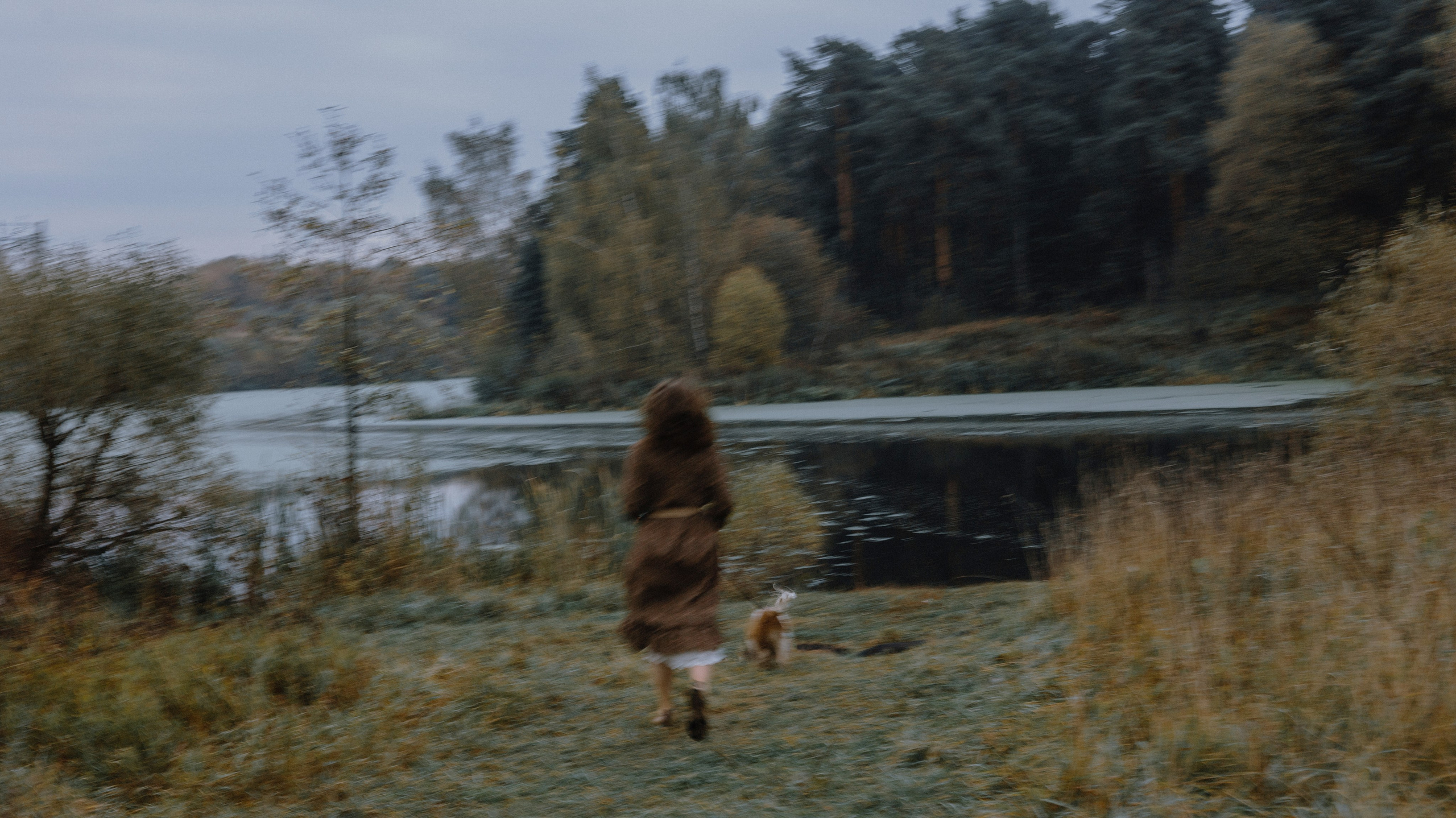 Маша и Дарси. Фотограф-анималист Богданова Полина