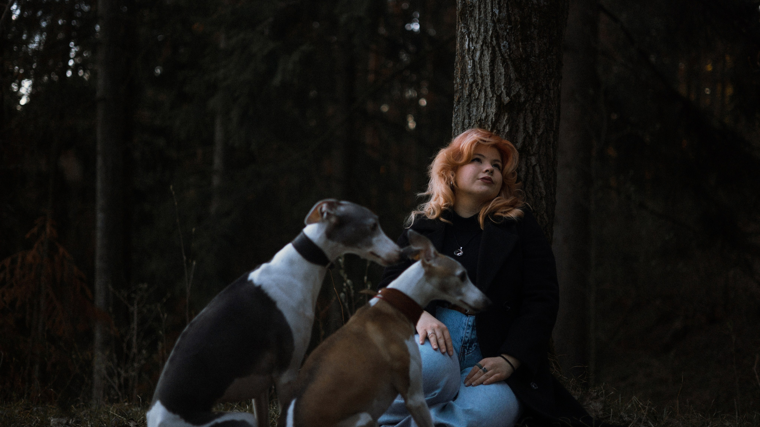 Вика, Джем и Белла. Фотограф-анималист Богданова Полина