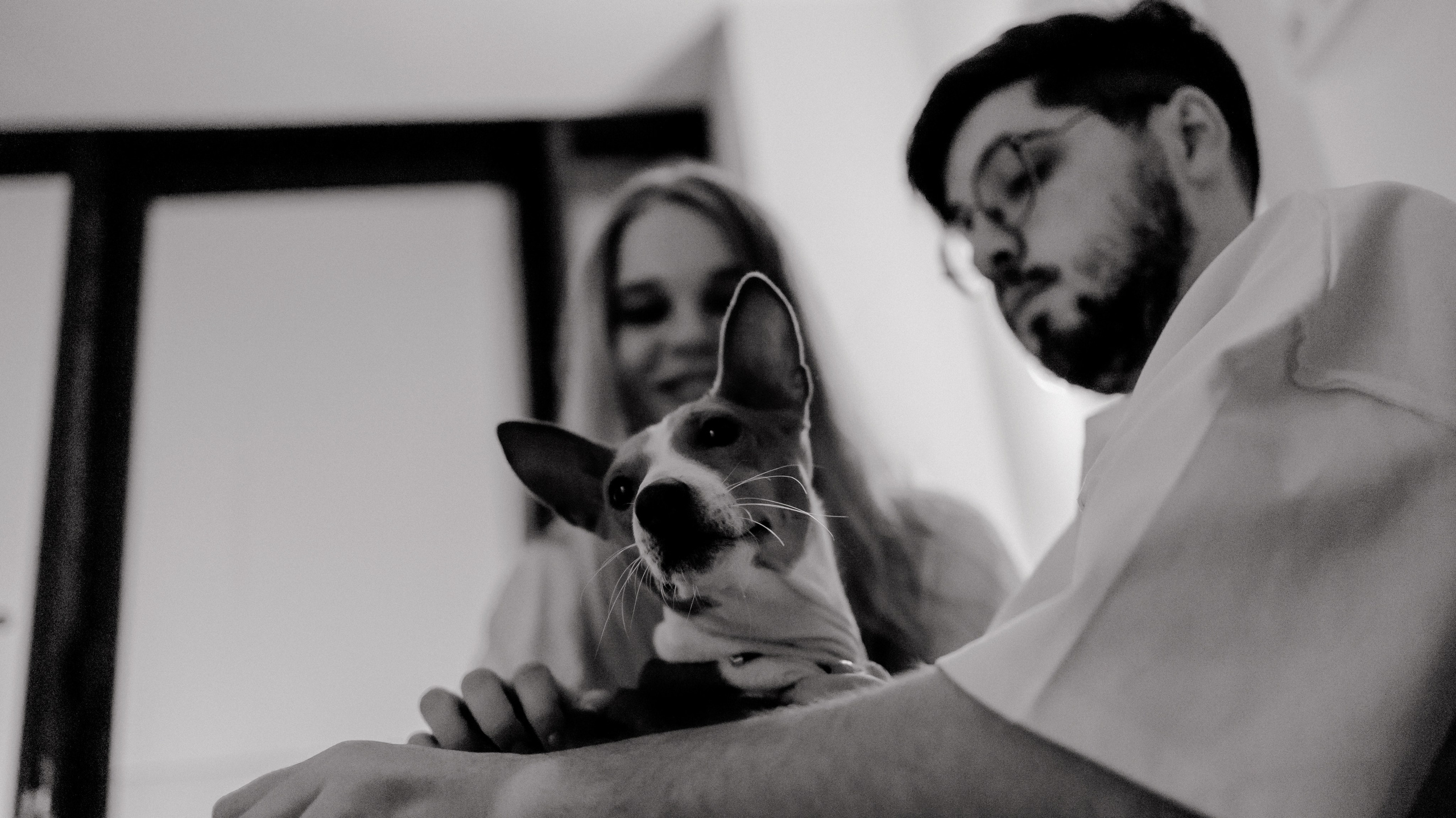 Люба, Никита и Бахати. Фотограф-анималист Богданова Полина