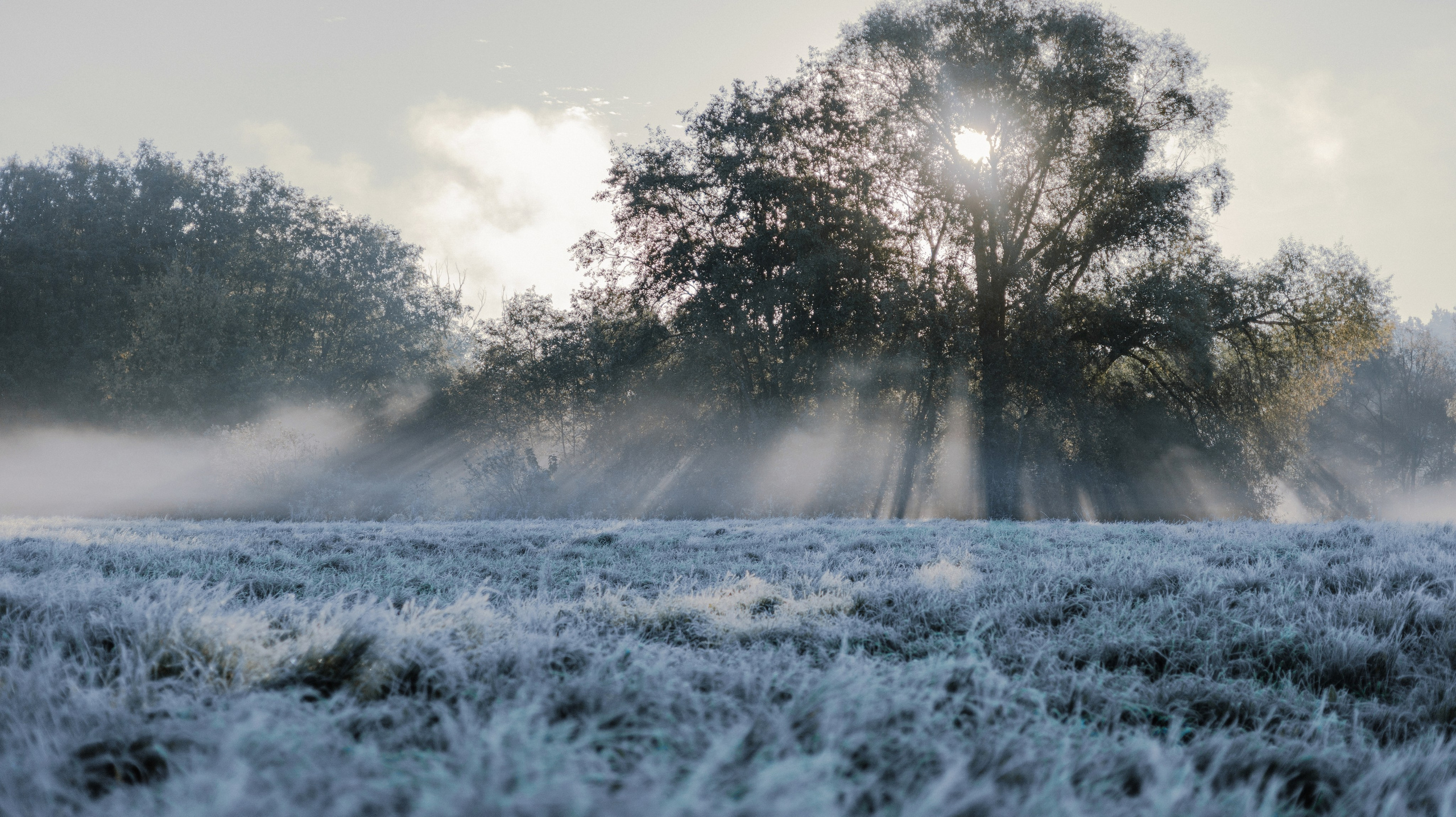 Полина и Вегард. Фотограф-анималист Богданова Полина