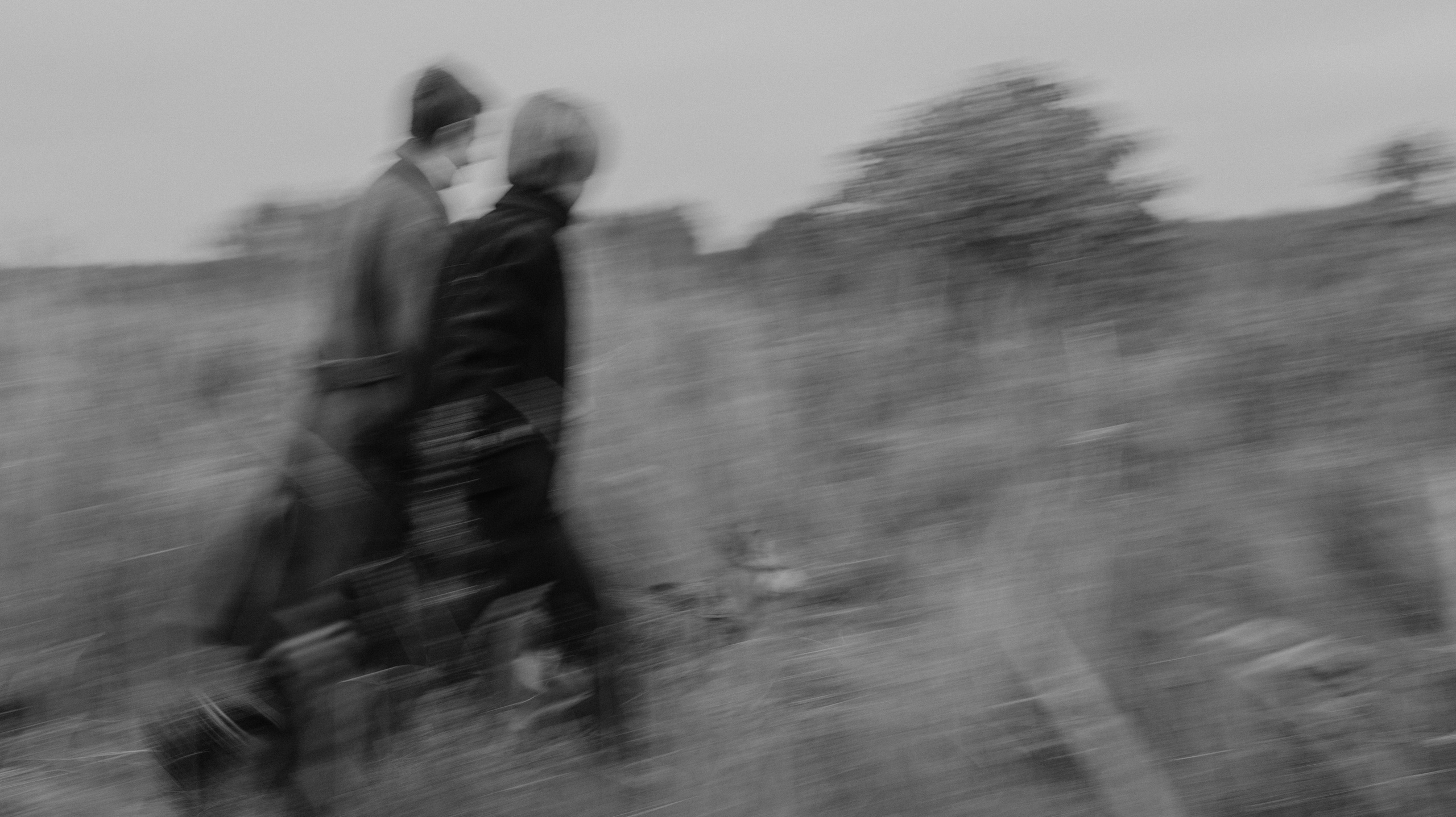 Маша, Катя, Астрид и Мася. Фотограф-анималист Богданова Полина