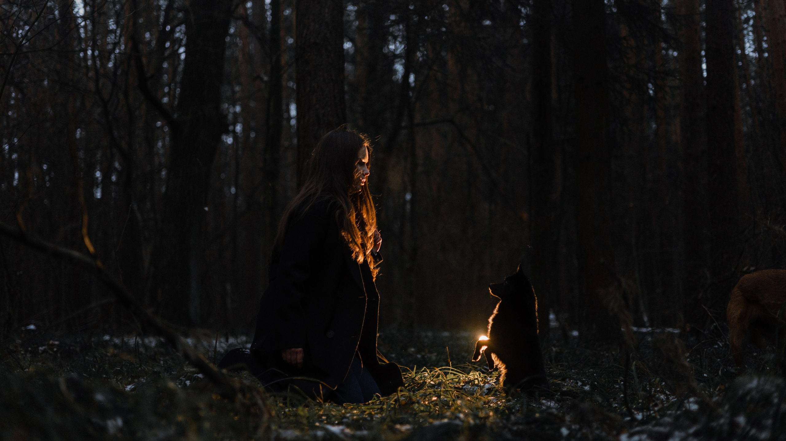 Юля, Лара и Йоми. Фотограф-анималист Богданова Полина