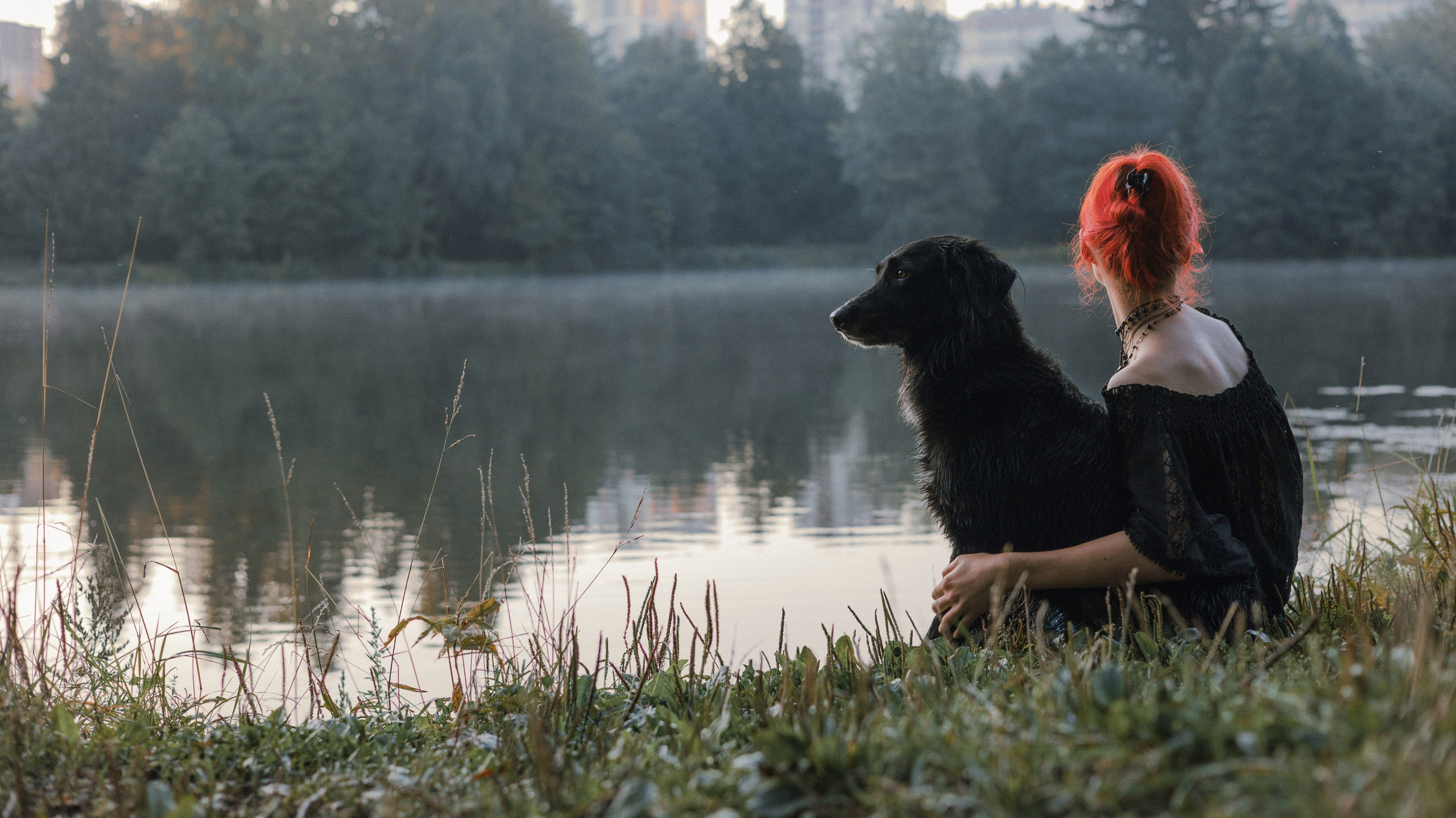 Лиза и Коди. Фотограф-анималист Богданова Полина