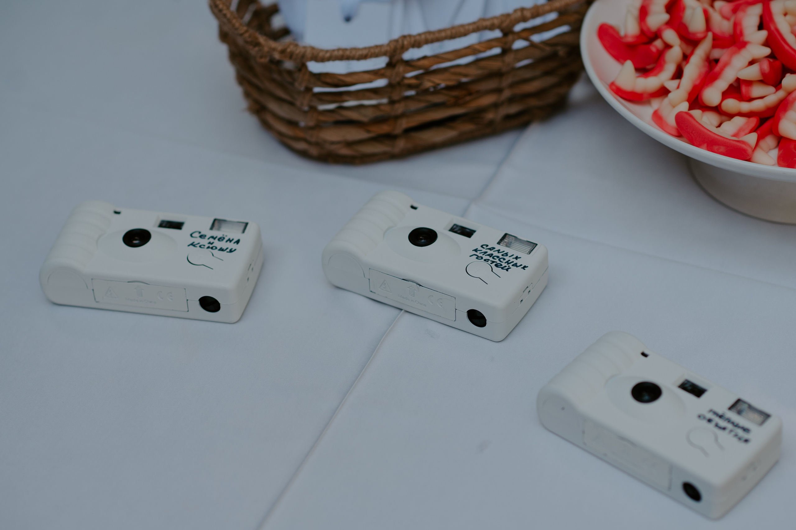 Жить вечно. Свадебный, репортажный и семейный фотограф в Москве Арина Зак