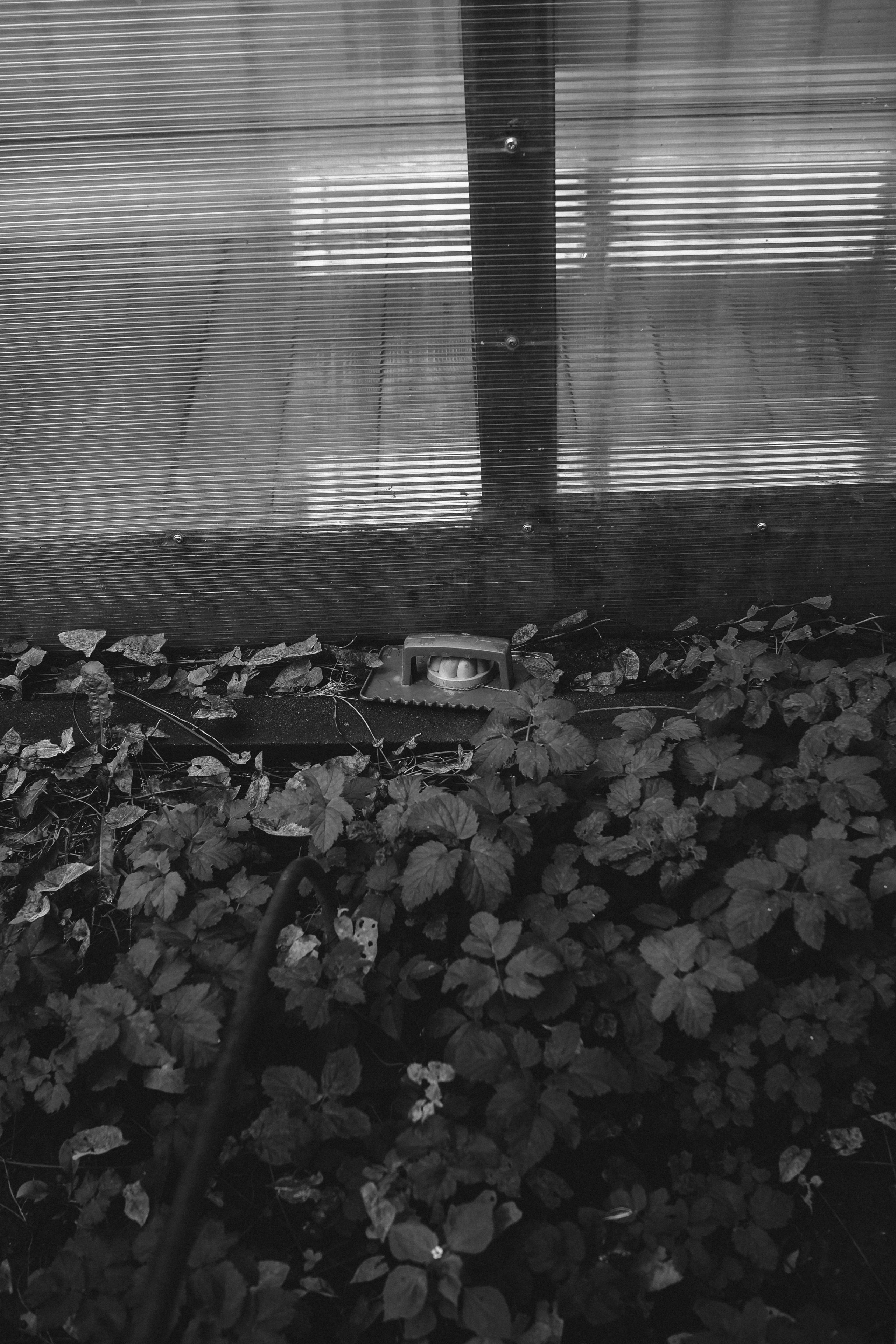 Город оживает. Портретный фотограф DanilNabody