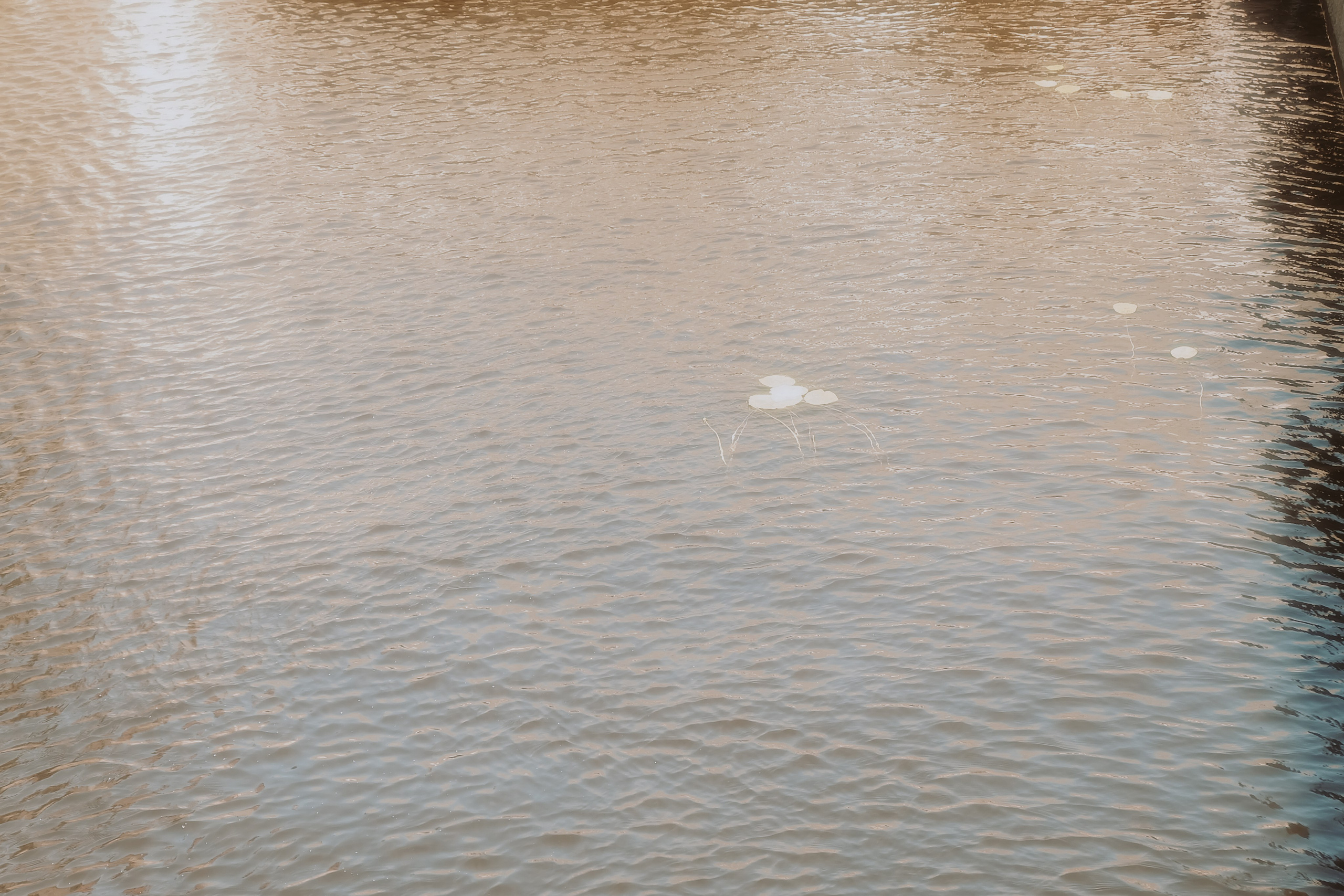 Жара в Питере. Портретный фотограф DanilNabody