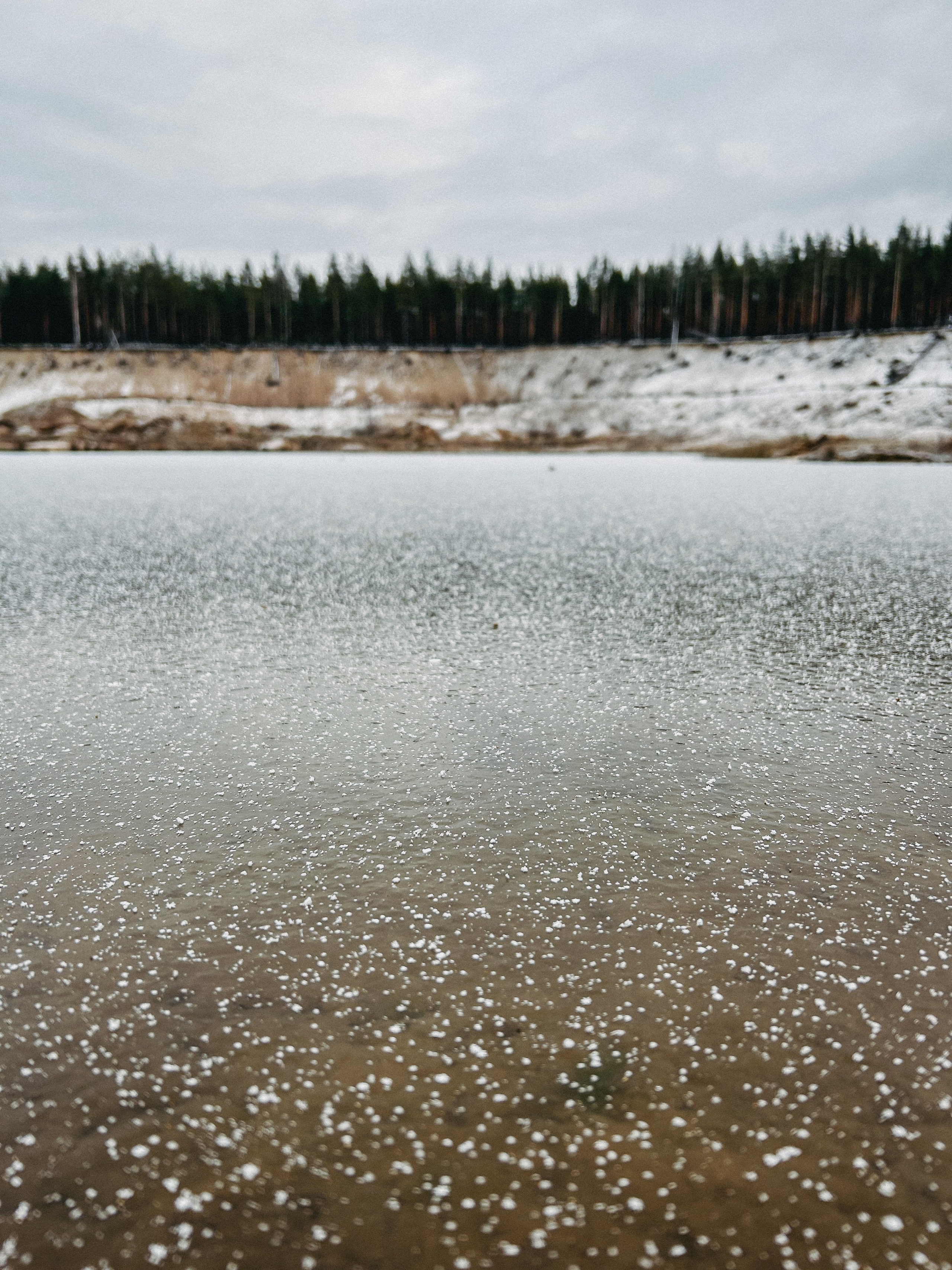 Природа. Фотокружок «Видоискатель» ГБОУ СОШ № 291