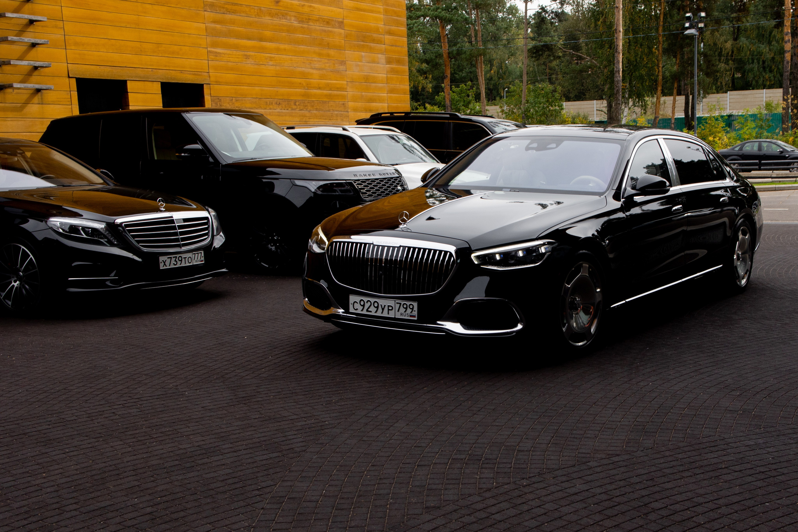 P & T. Tarasov-stroganova.ru