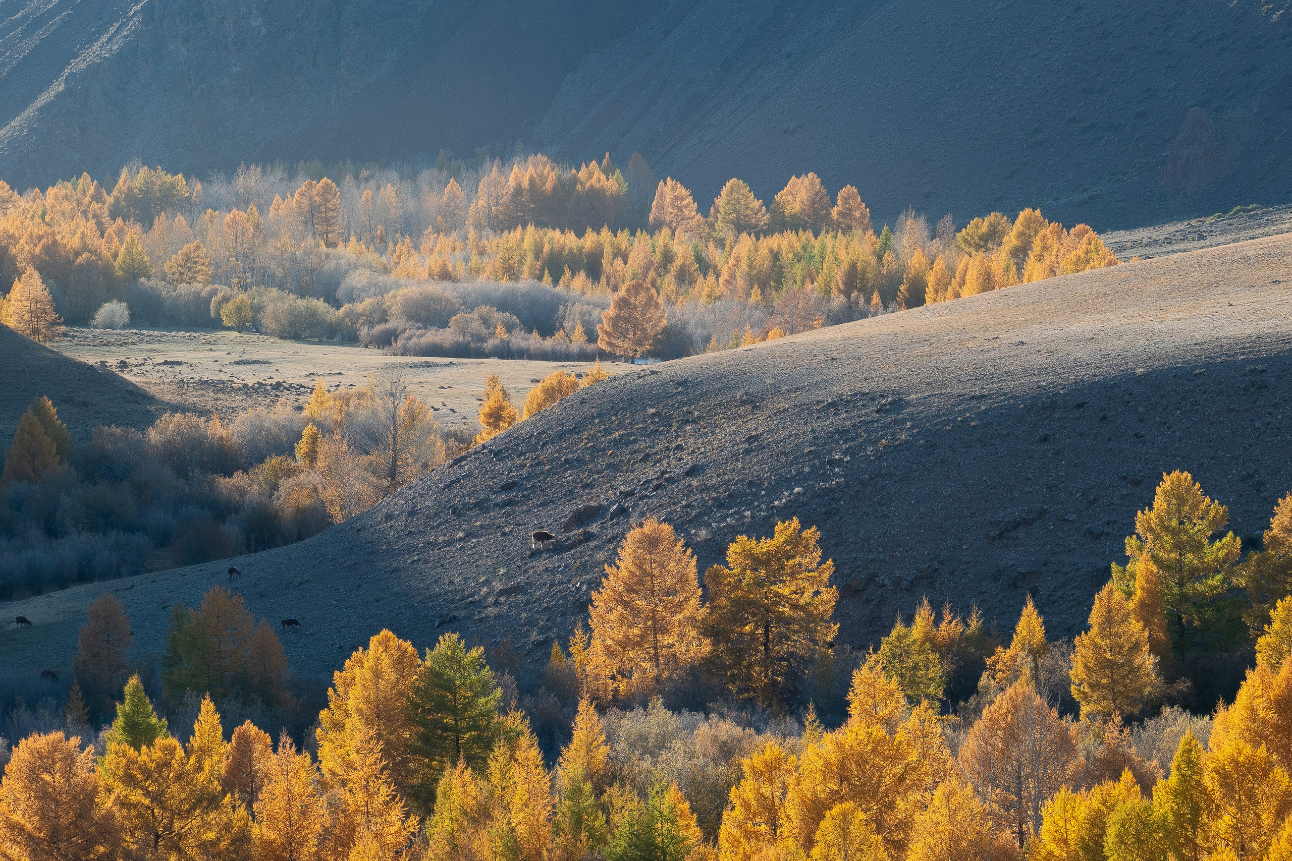 Горный Алтай. Фотограф Антон Денисенко: Портрет, Документалистика, Пейзаж. Москва