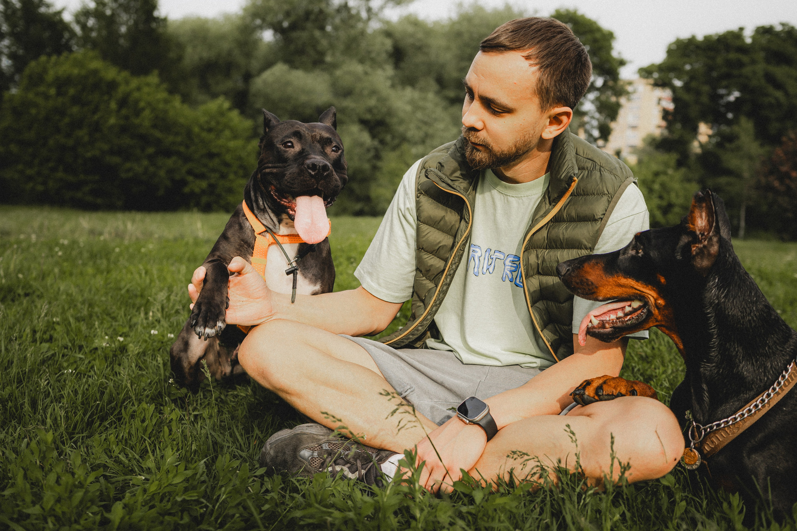 Паша, Хайди и Тея