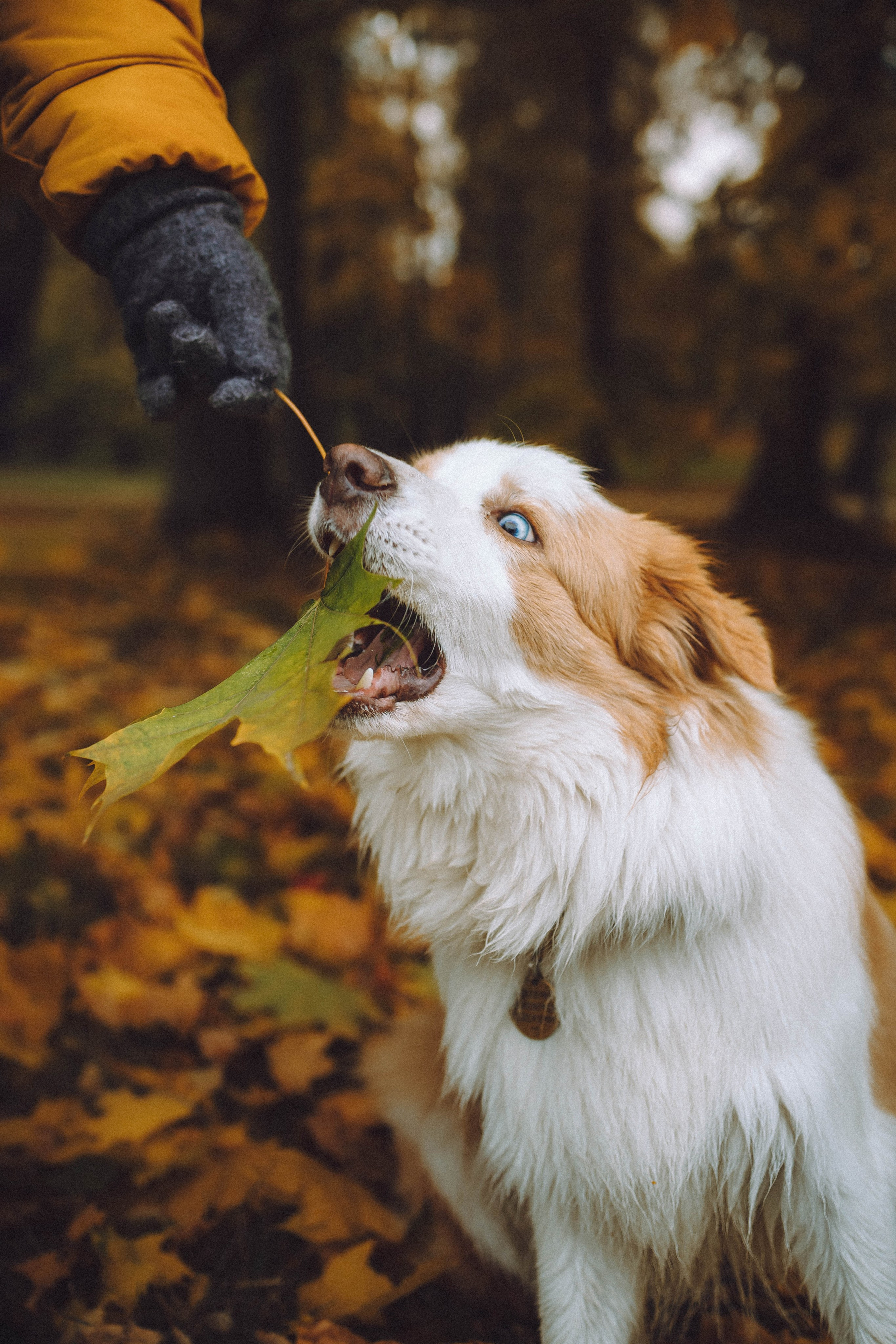Алина, Витя и Асти