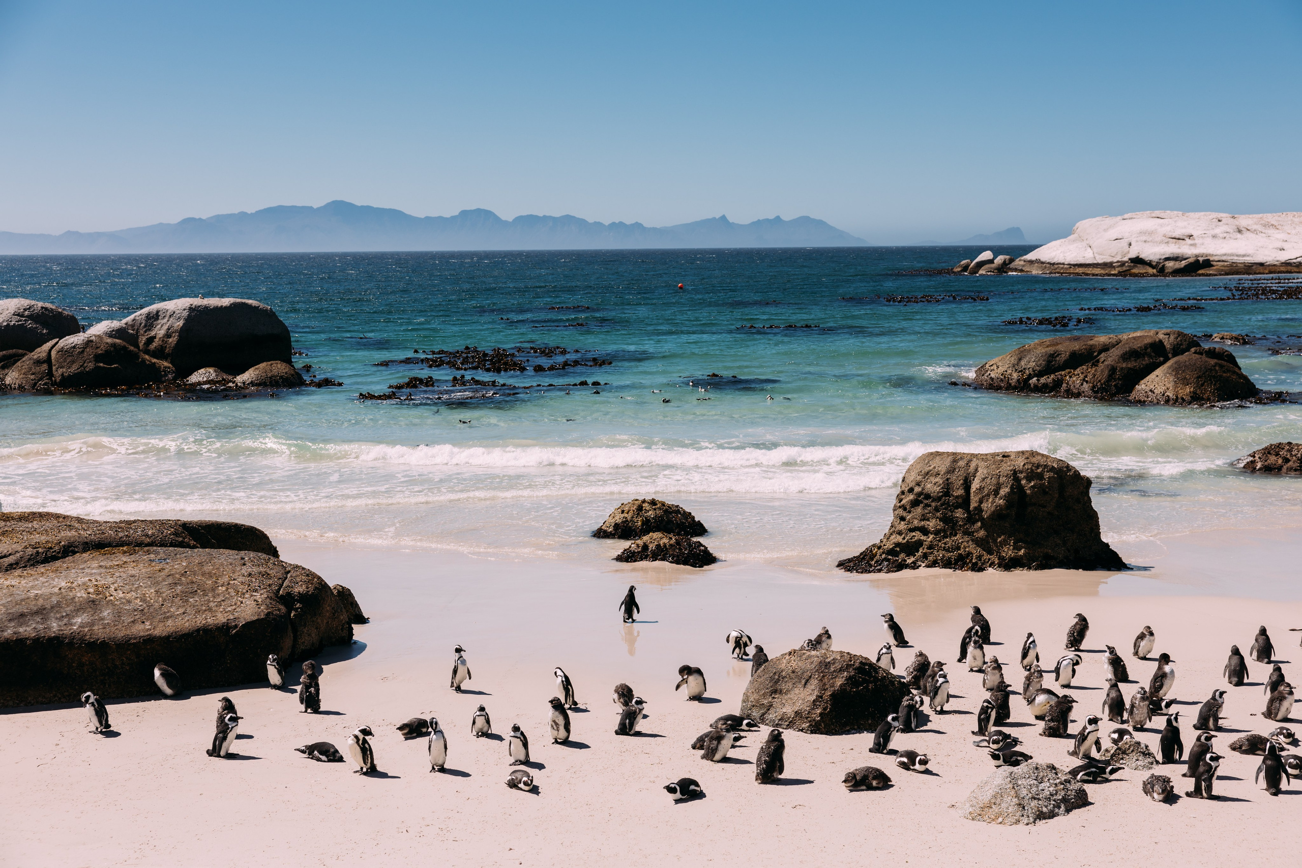 ФОТО ТУРЫ ПО МИРУ. Фотограф Марина Аблаева-Кожедуб