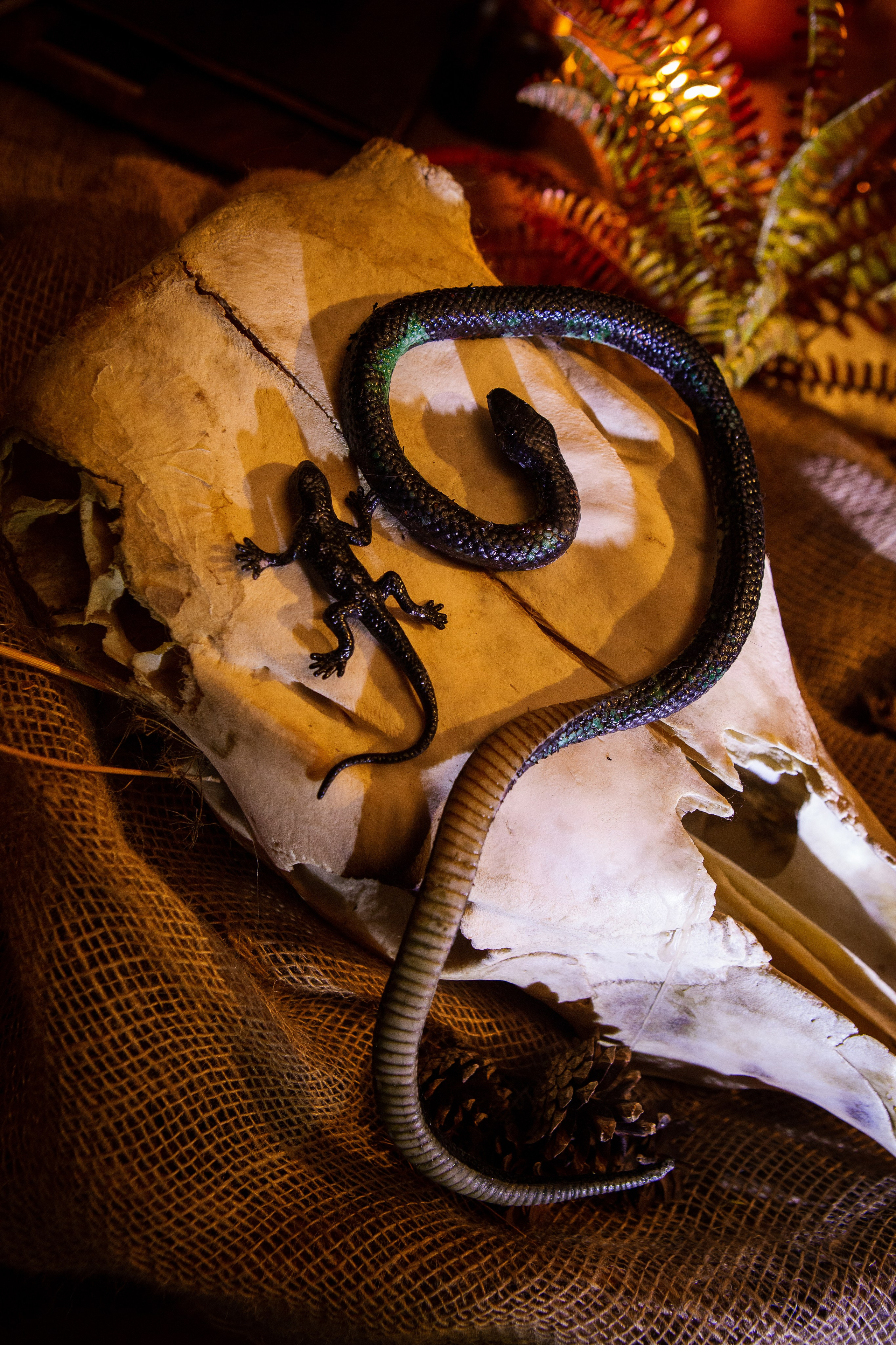 Салемские истории. Фотограф Екатерина Голицына