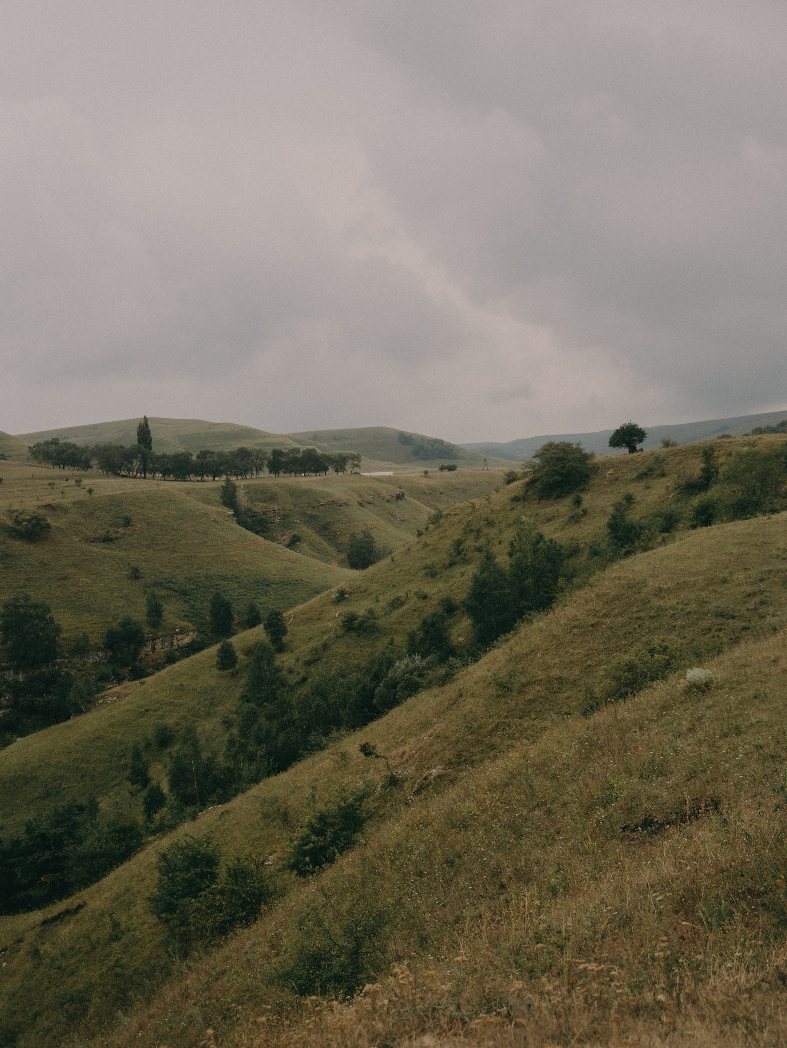 К&В. Свадебный фотограф Ирина Беляева Пятигорск|Кисловодск|Эльбрус|Домбай