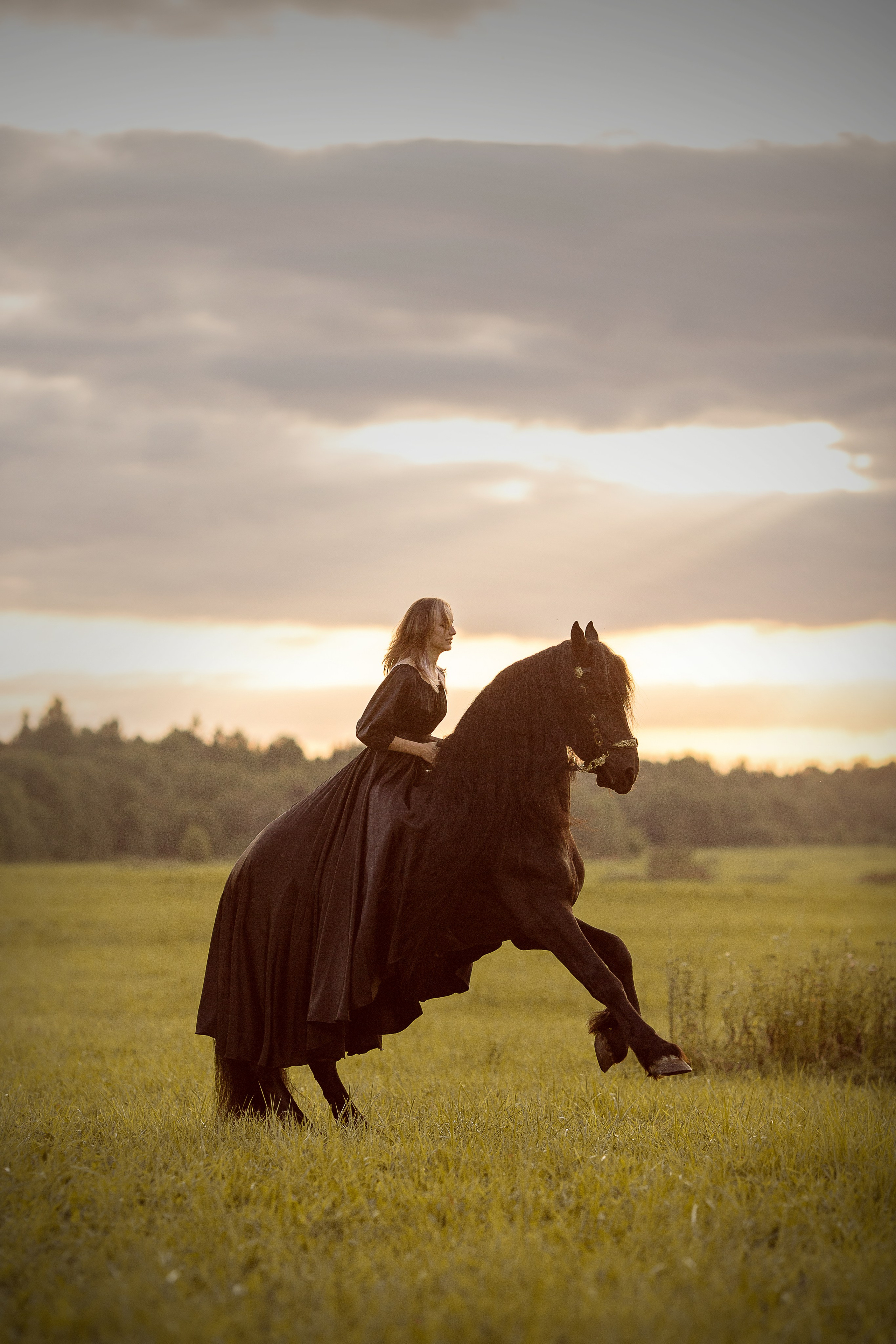 Фотосессия с фризом