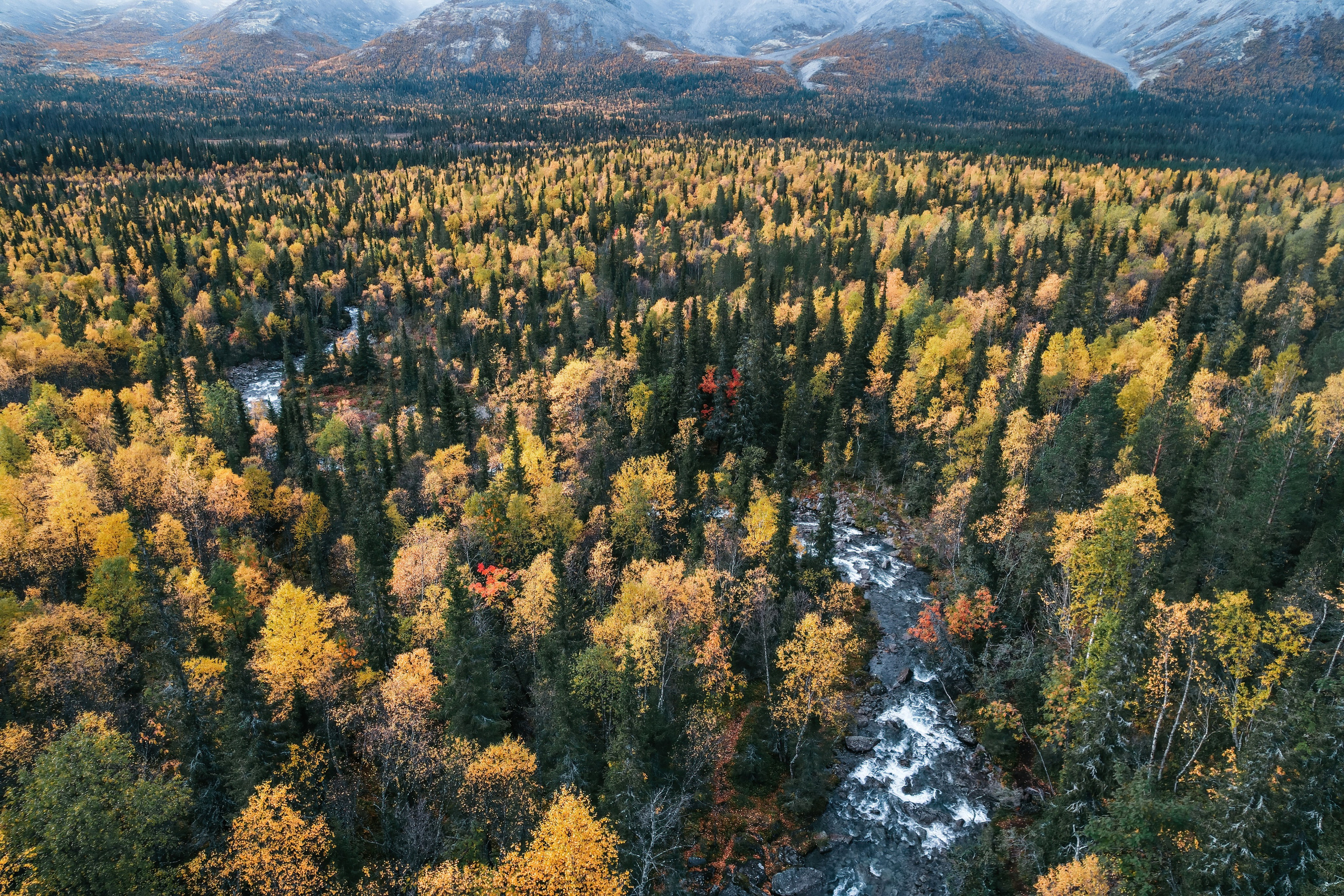 СЕВЕР. Event фотограф Степанова Александра