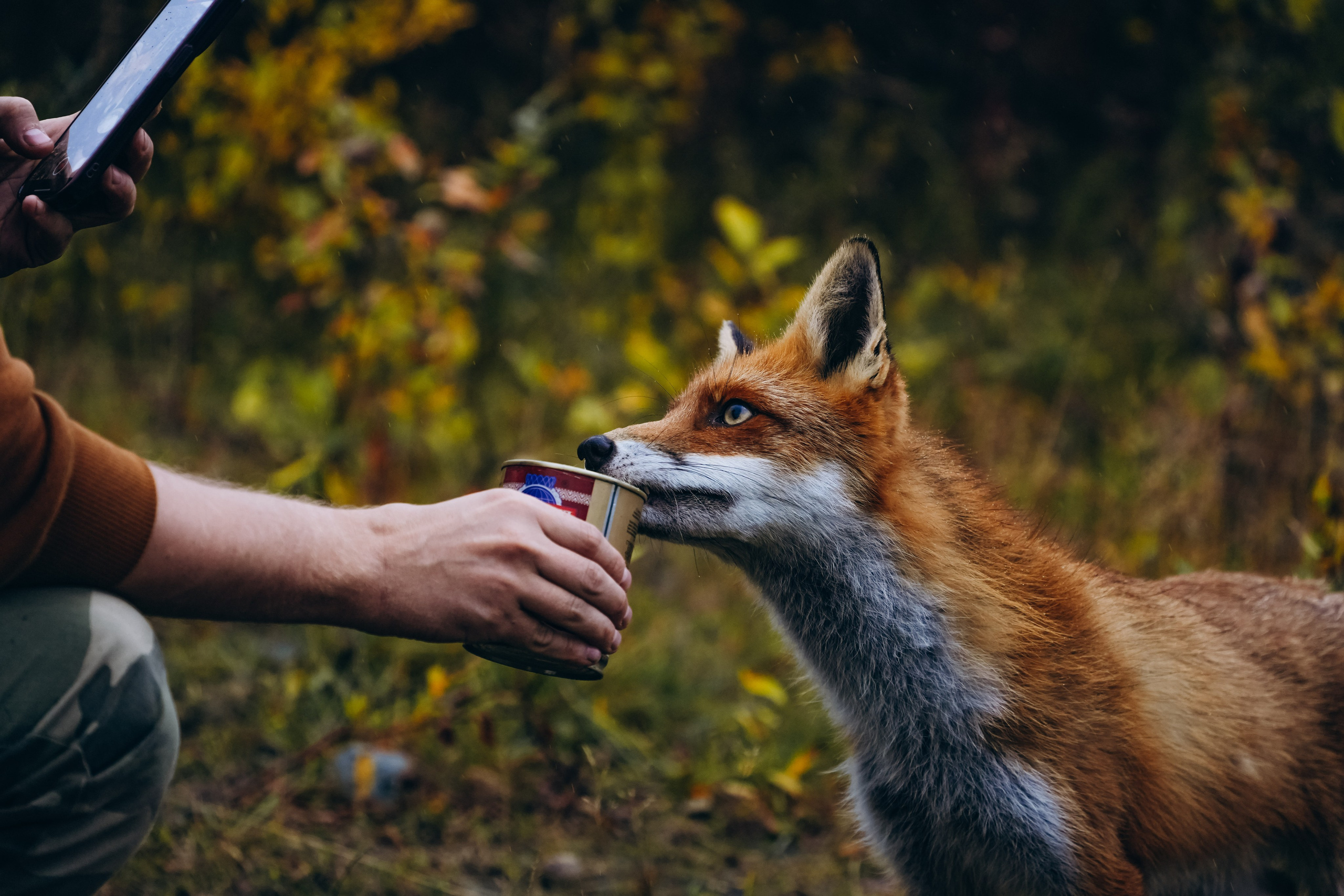 СЕВЕР. Event фотограф Степанова Александра