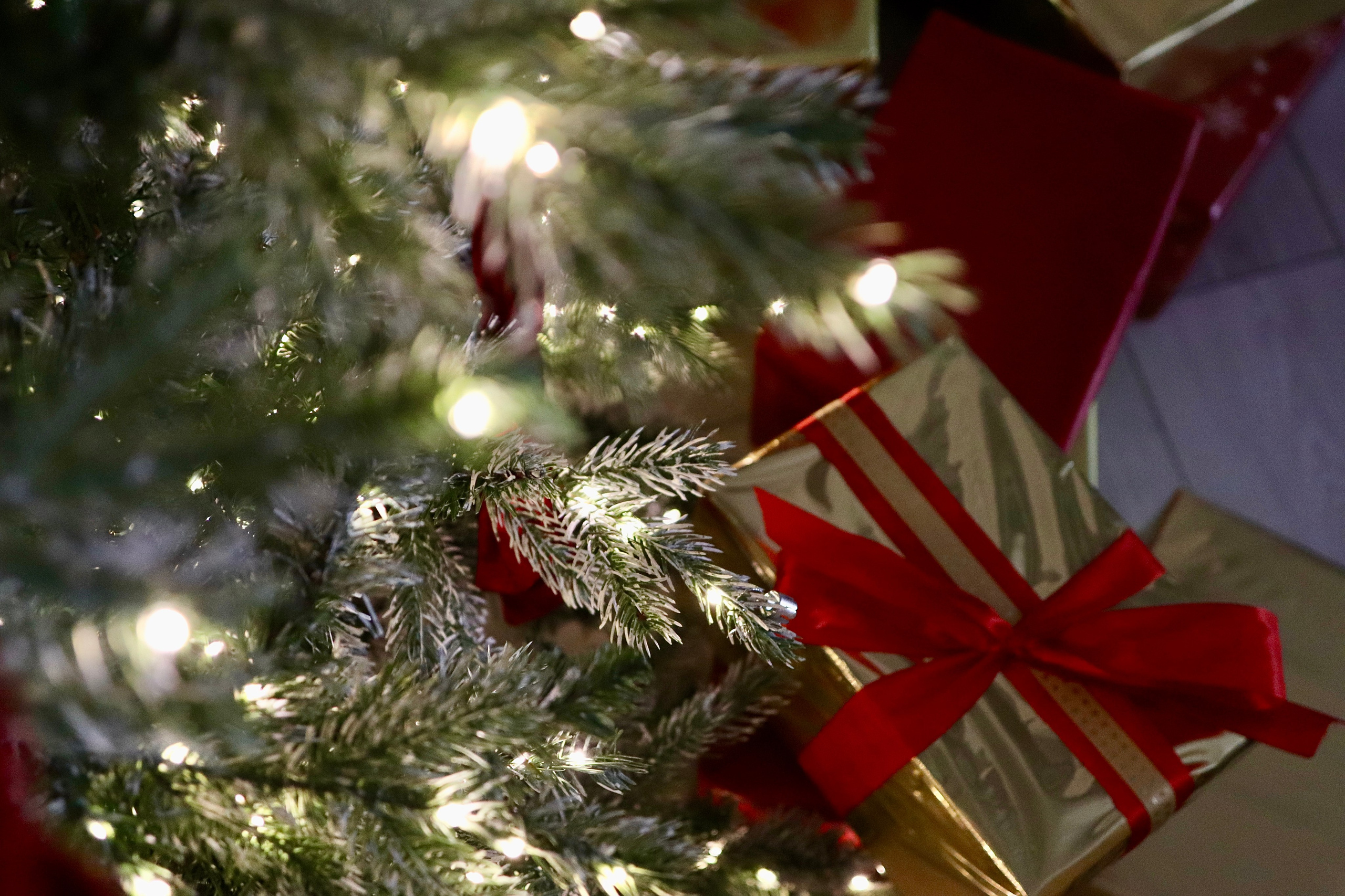 ЛеТТ Лофт. Фотограф г. Хабаровск. Семейные и индивидуальные съёмки