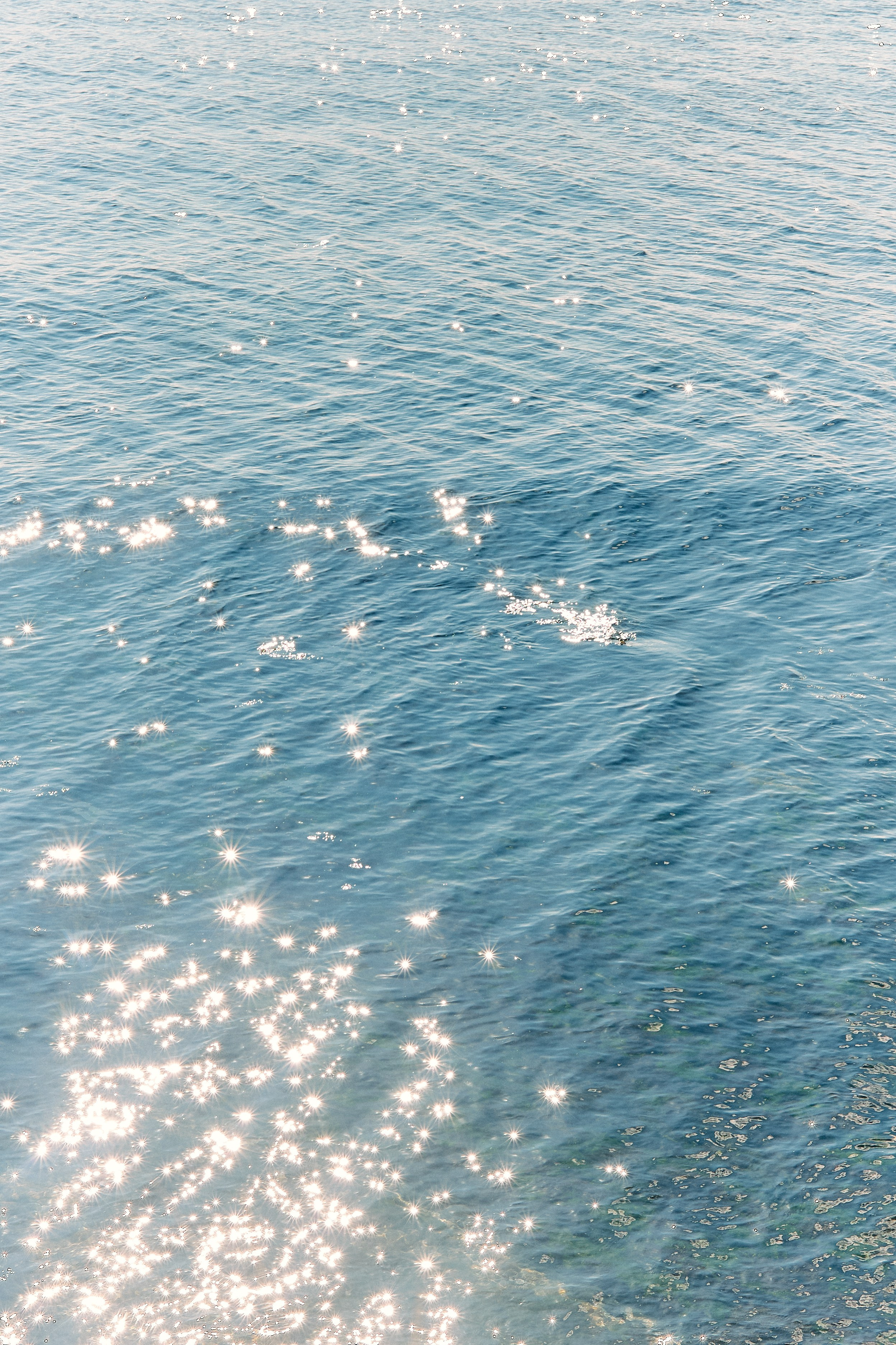 Юг России. Профессиональный Фотограф во Владимире, в Москве и в Суздале — Полина Романычева