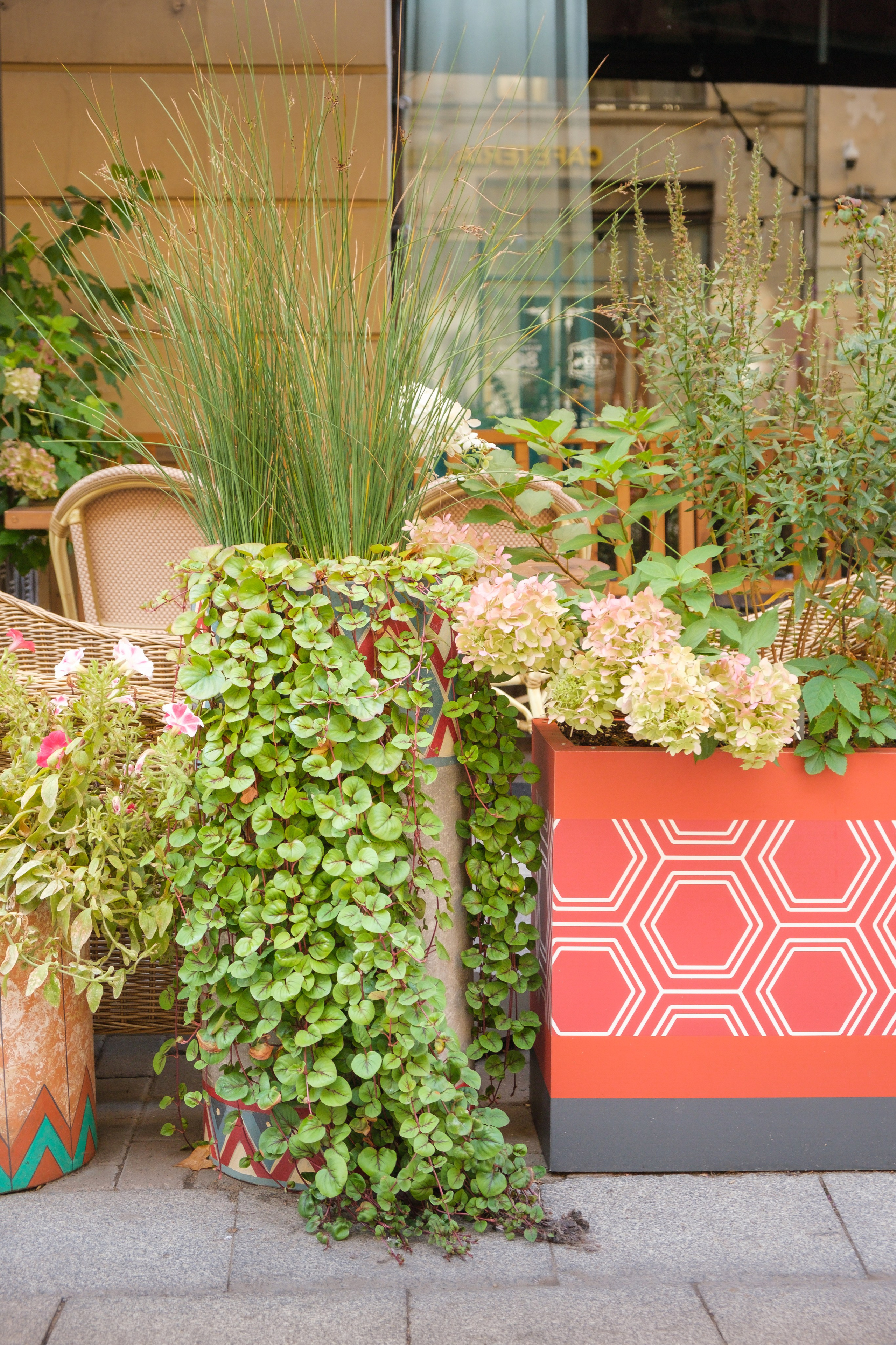 Озеленение