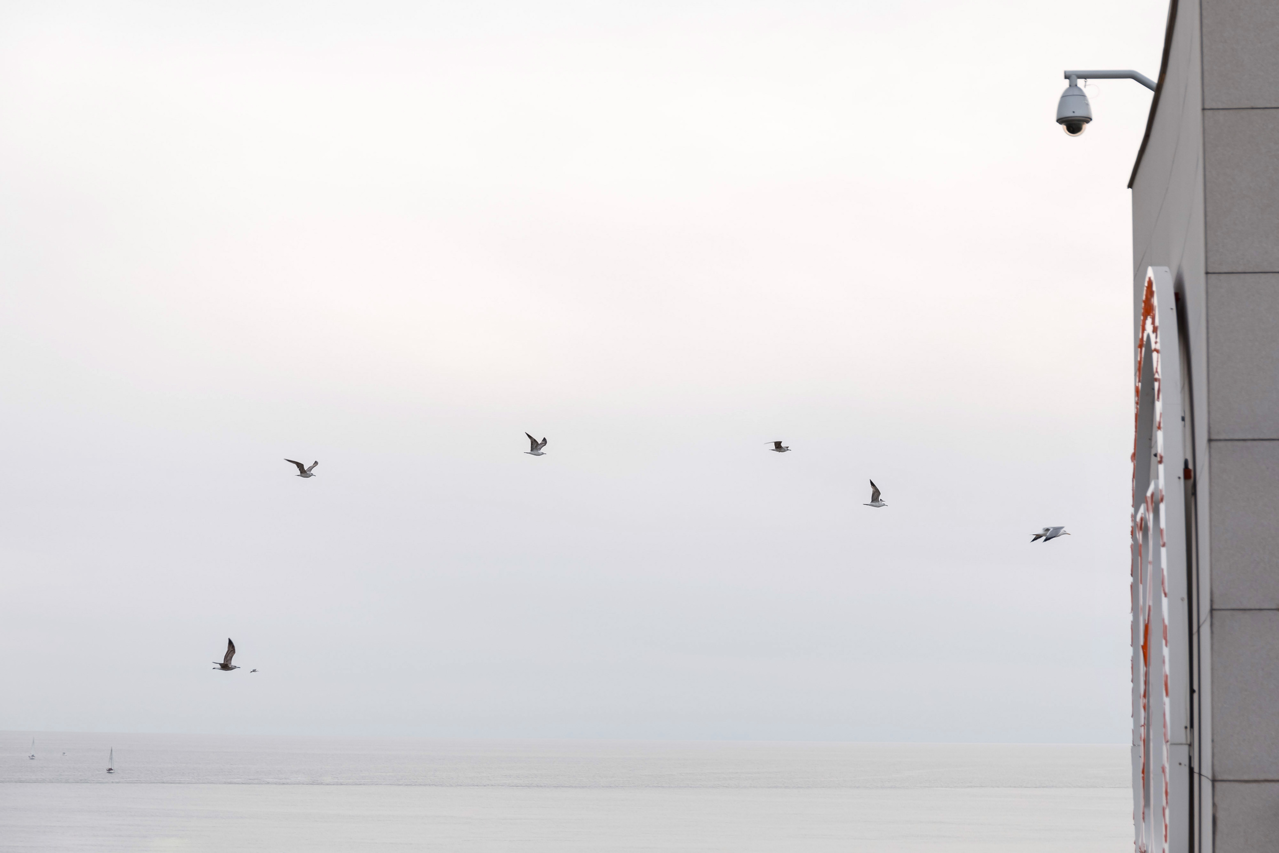 Свадьба Адлер Виталий и Екатерина. Виктор Белик, Свадебный Фотограф Краснодар