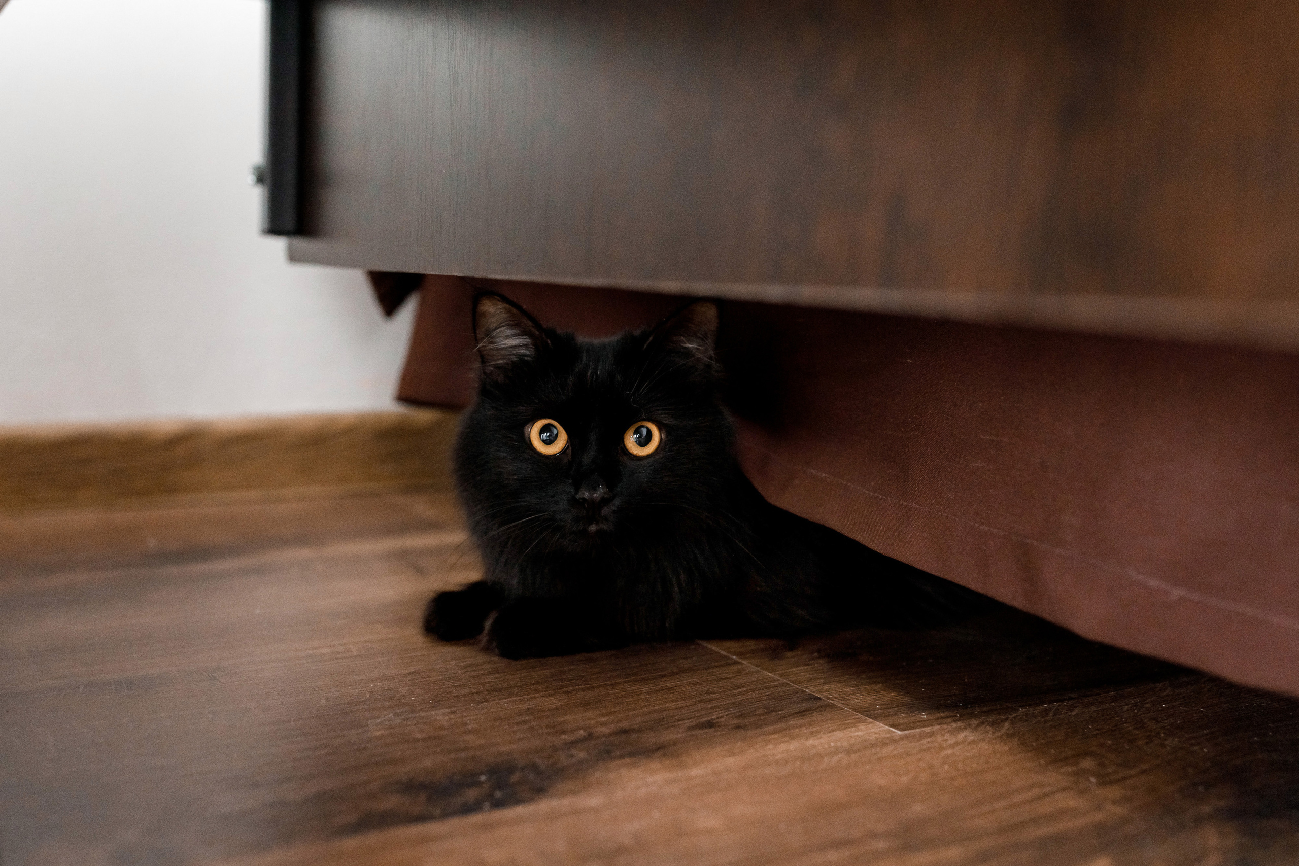 Свадьба Адлер Виталий и Екатерина. Виктор Белик, Свадебный Фотограф Краснодар