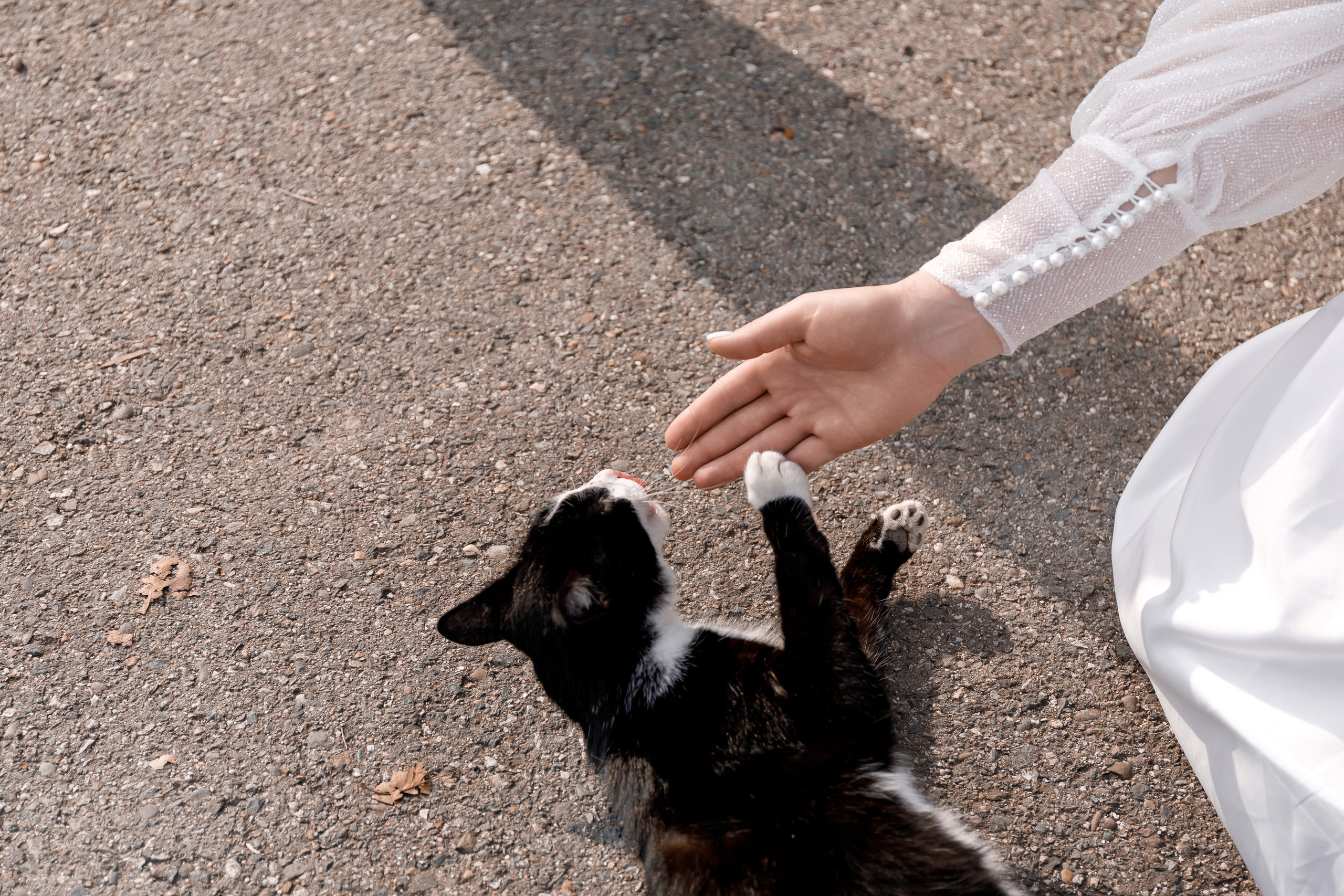 Свадьба Адлер Виталий и Екатерина. Виктор Белик, Свадебный Фотограф Краснодар