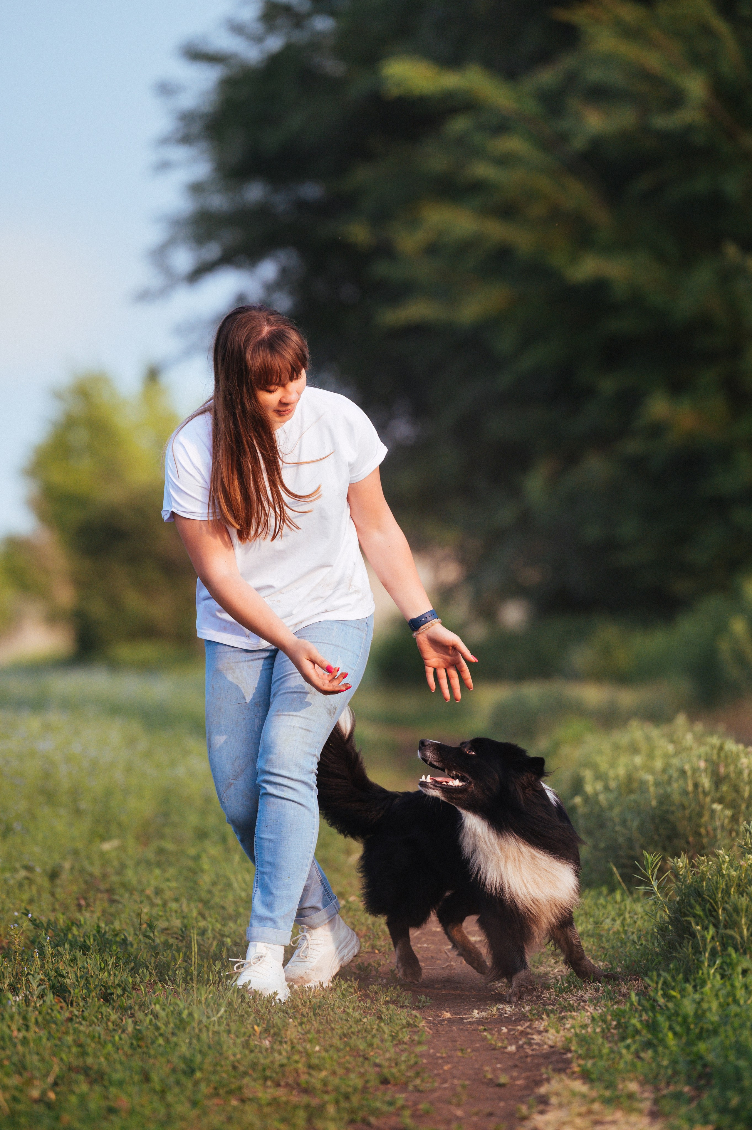 Прогулка на рассвете с бордер-колли. Фотограф в Ростове —на — Дону