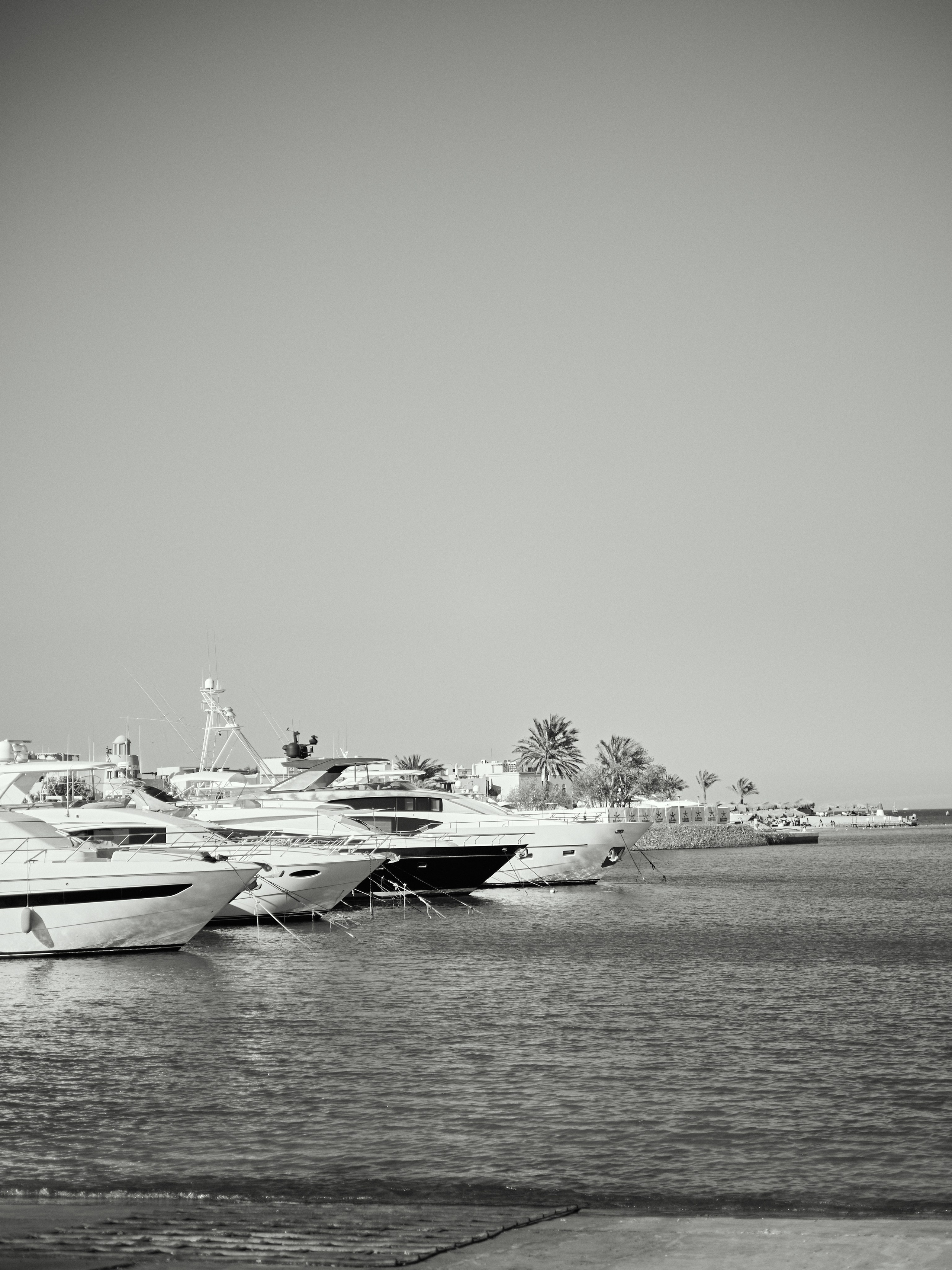 B&W. Jorgis — фотограф в Хургаде / обучение фотографии