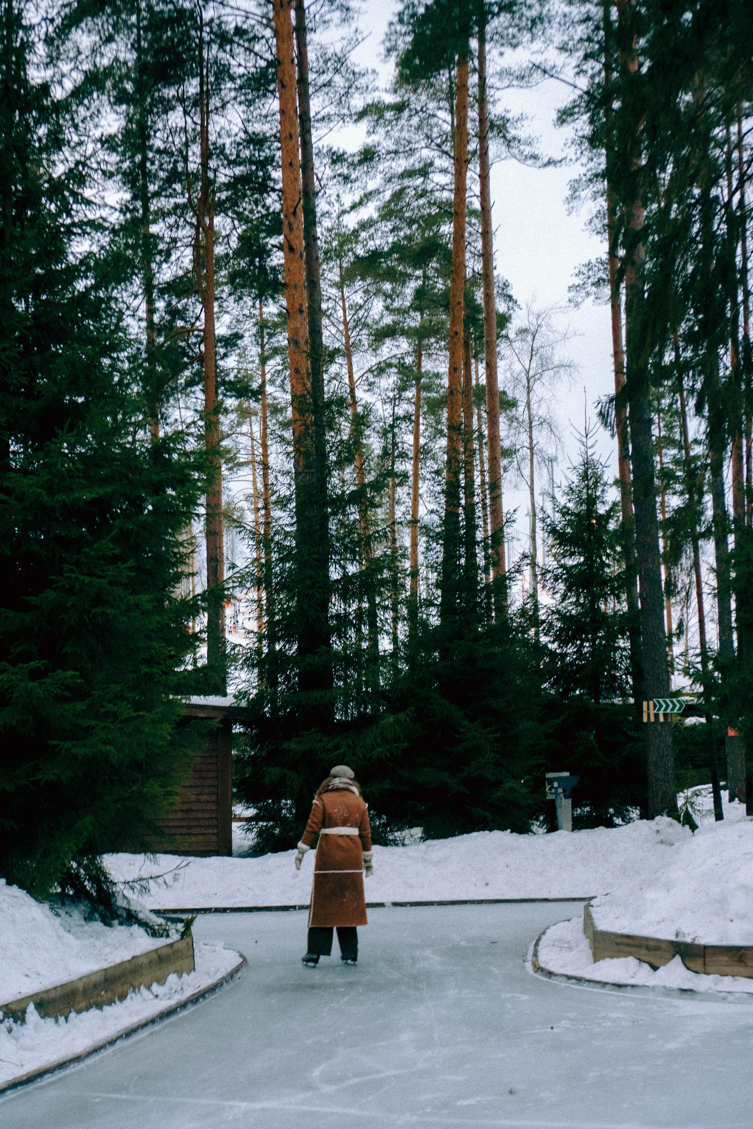 Каток. Профессиональный фотограф, Санкт-Петербург — Виктория Богомолова